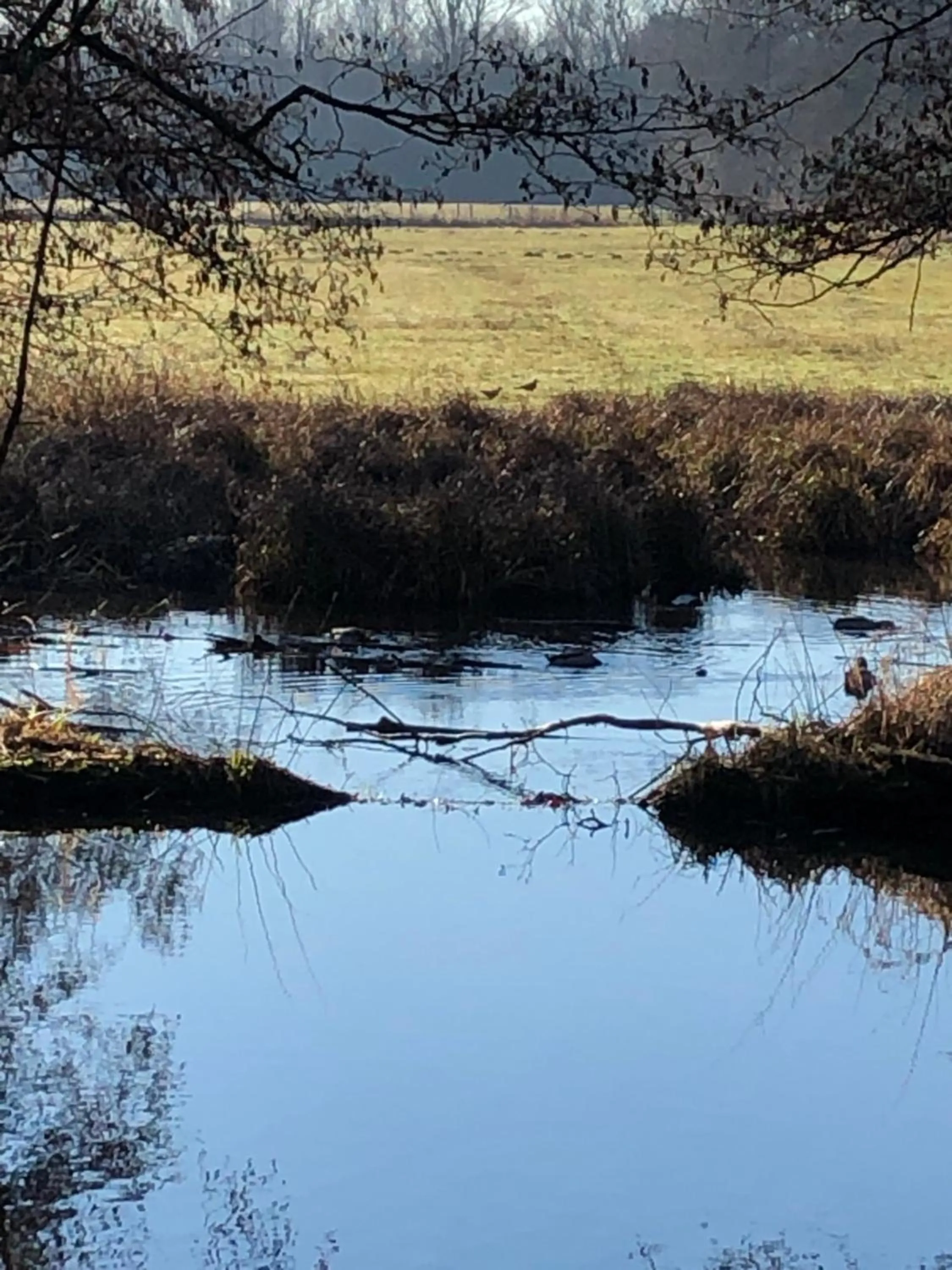 Nearby landmark in Hotel am Doktorplatz