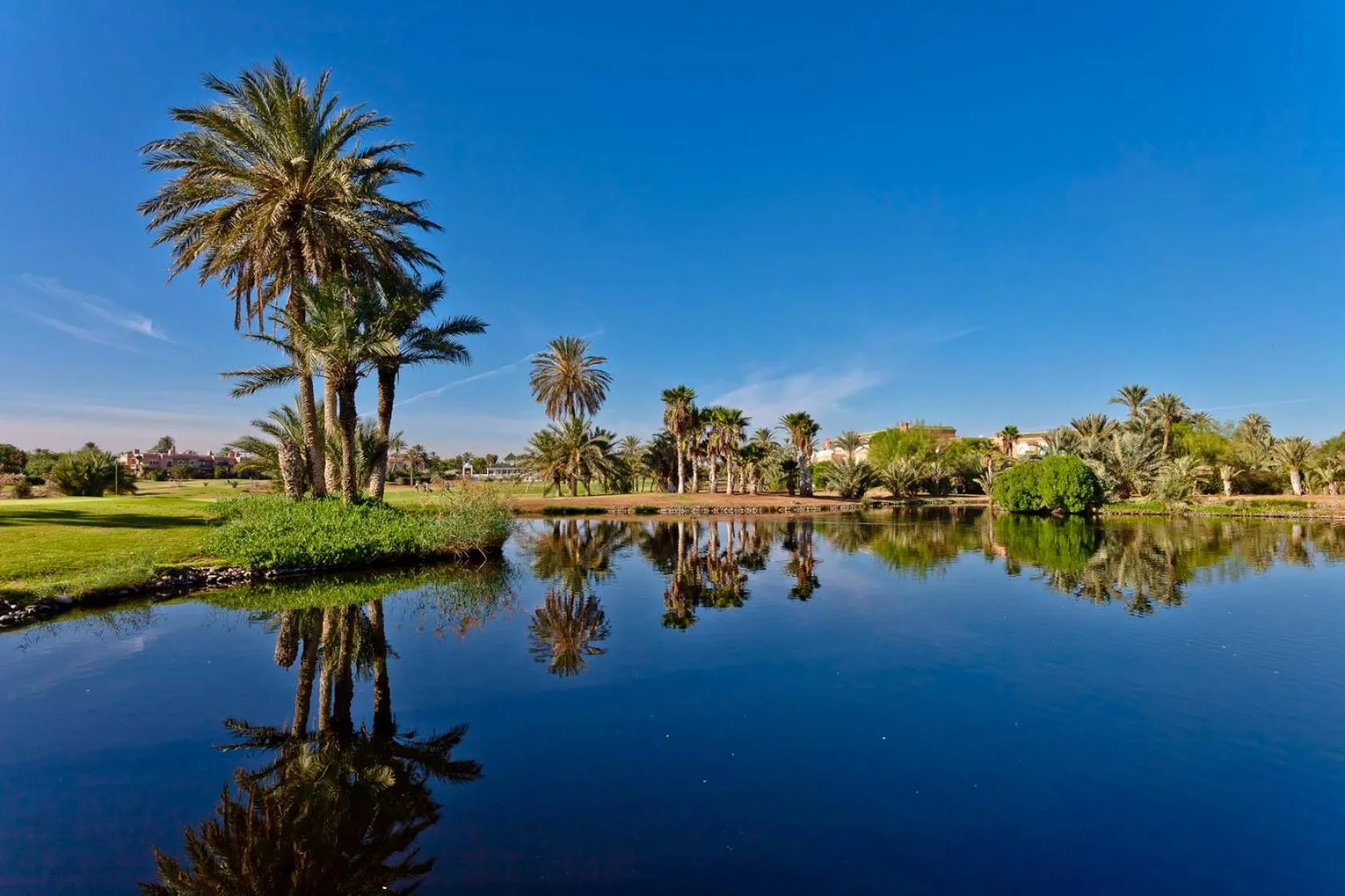 Natural landscape in Palmeraie Golf Suites By Pickalbatros