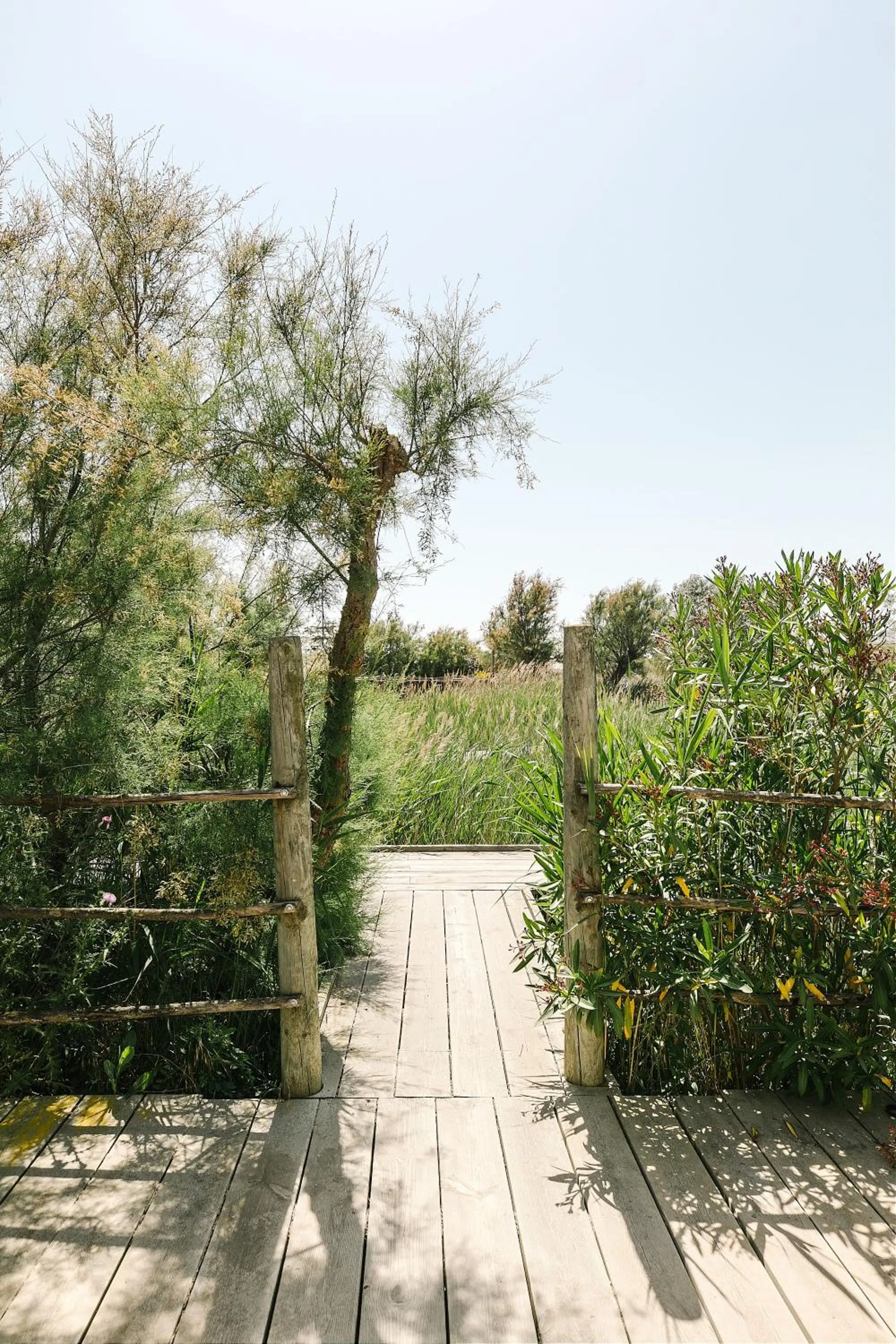 Patio in Hôtel Restaurant Les Arnelles