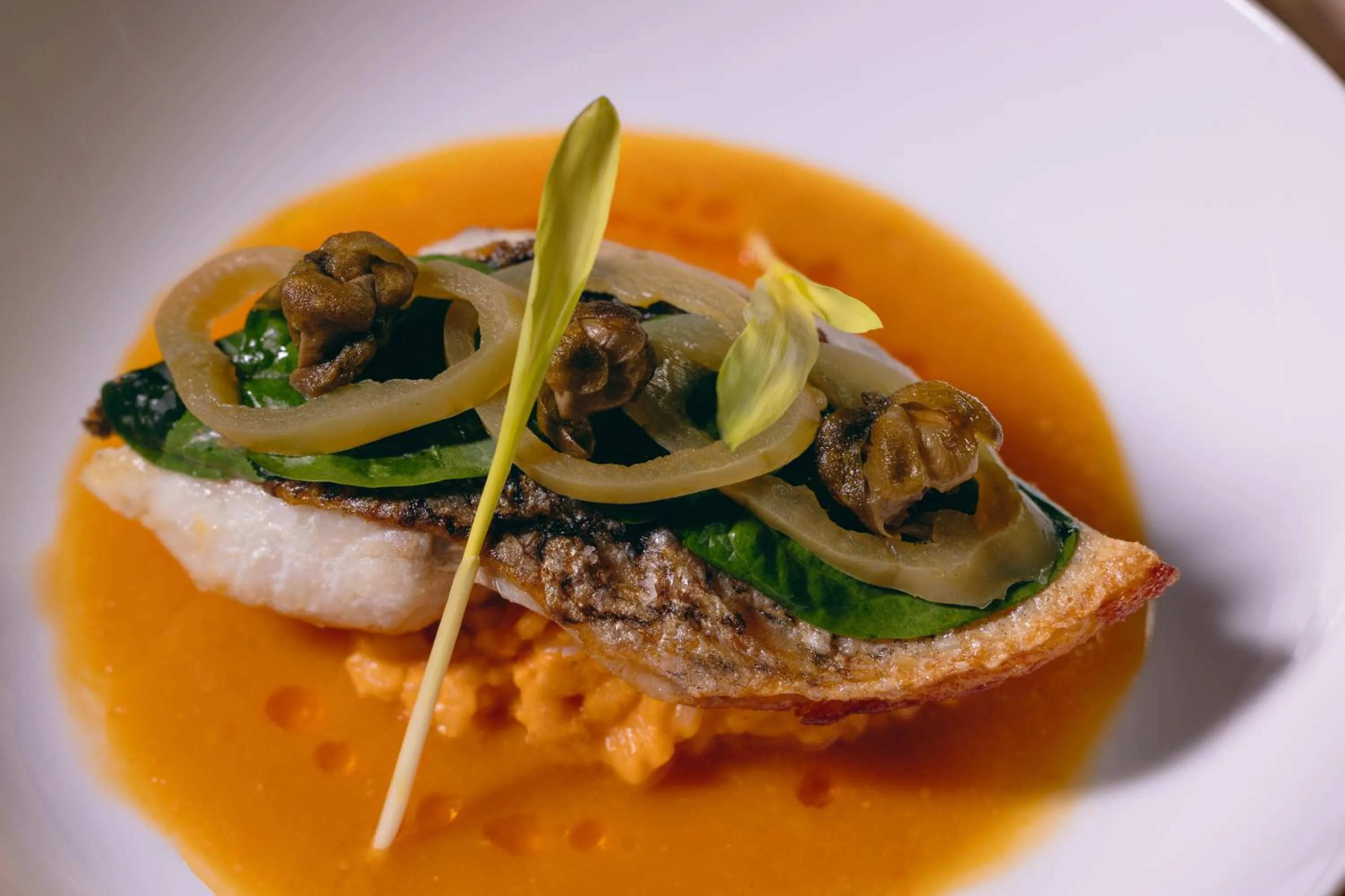 Food in La Casa de la Playa by Xcaret- All Inclusive Adults Only