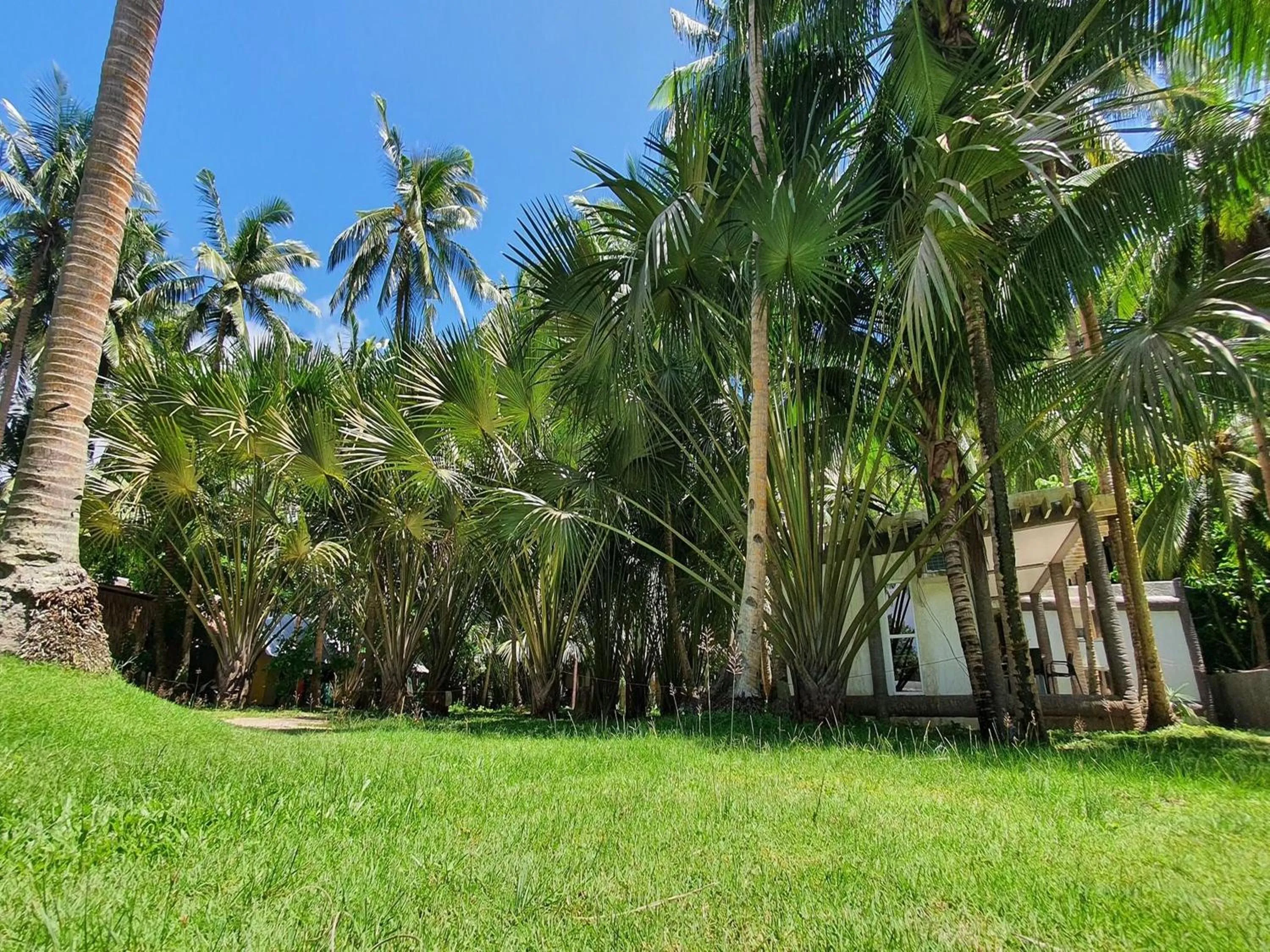 Garden in Pili Beach Resort Agmanic