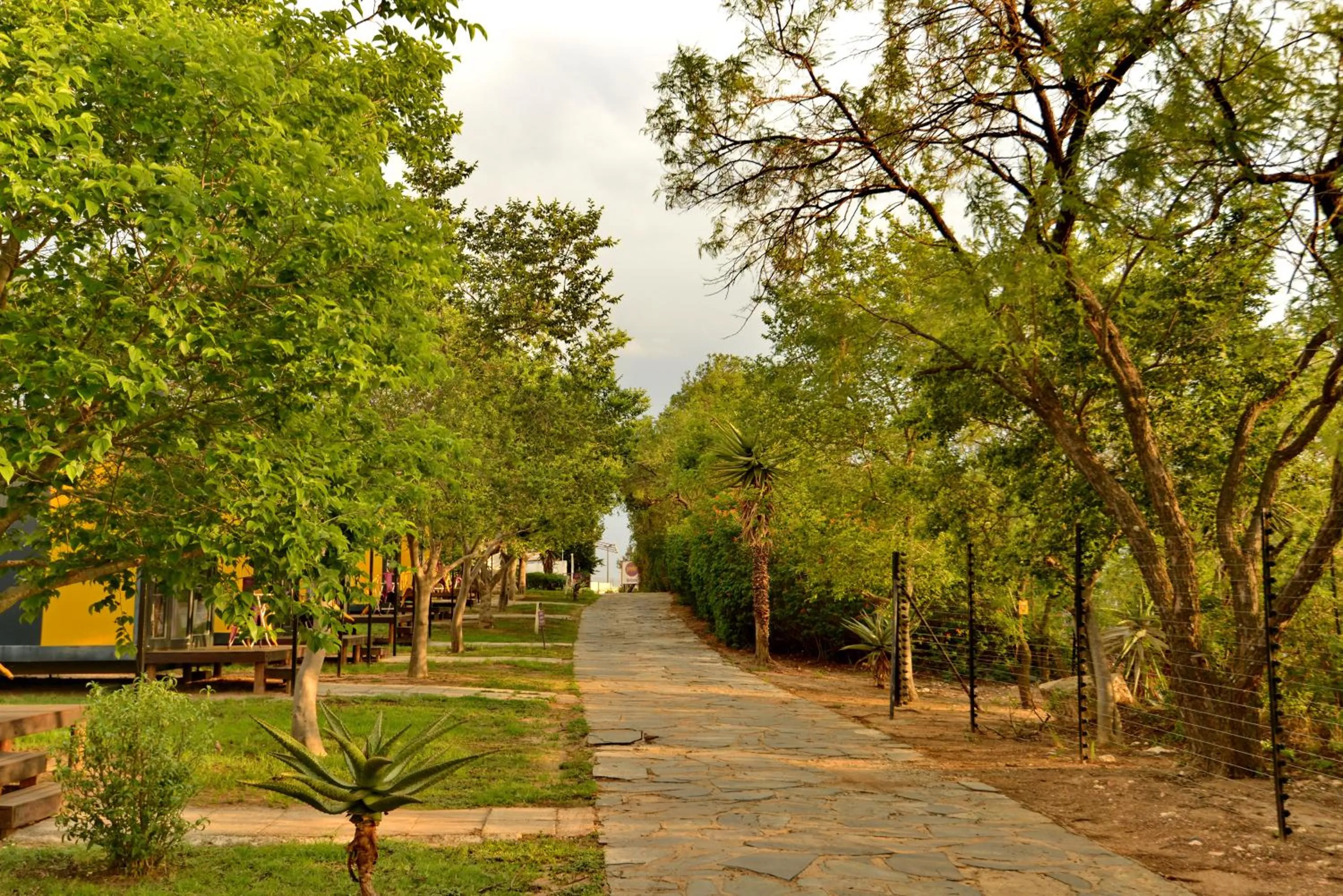 Day in SleepOver Lanseria