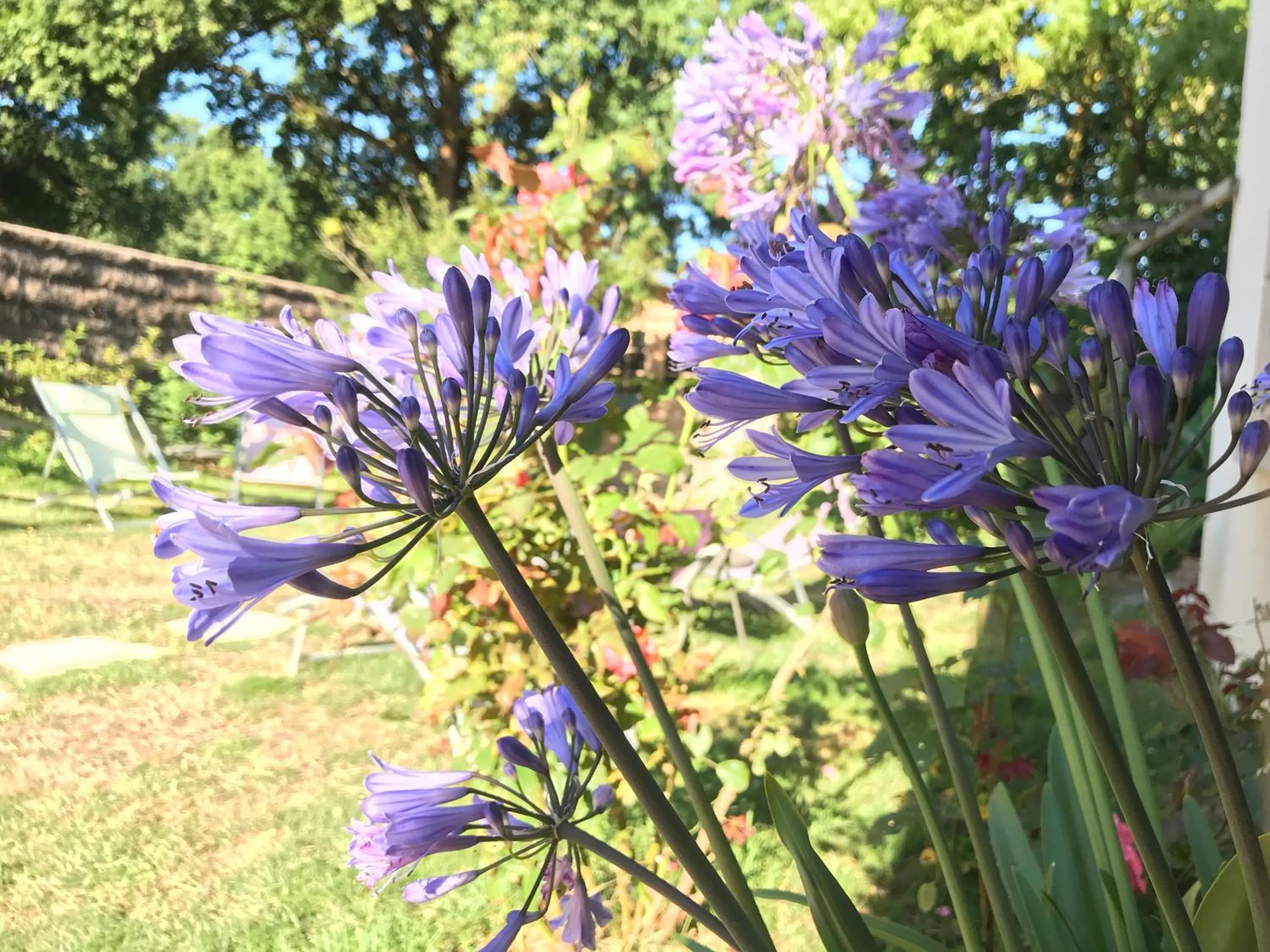 Garden in Aux portes de Pornichet, Chambres d'hôtes Ty'Sacha