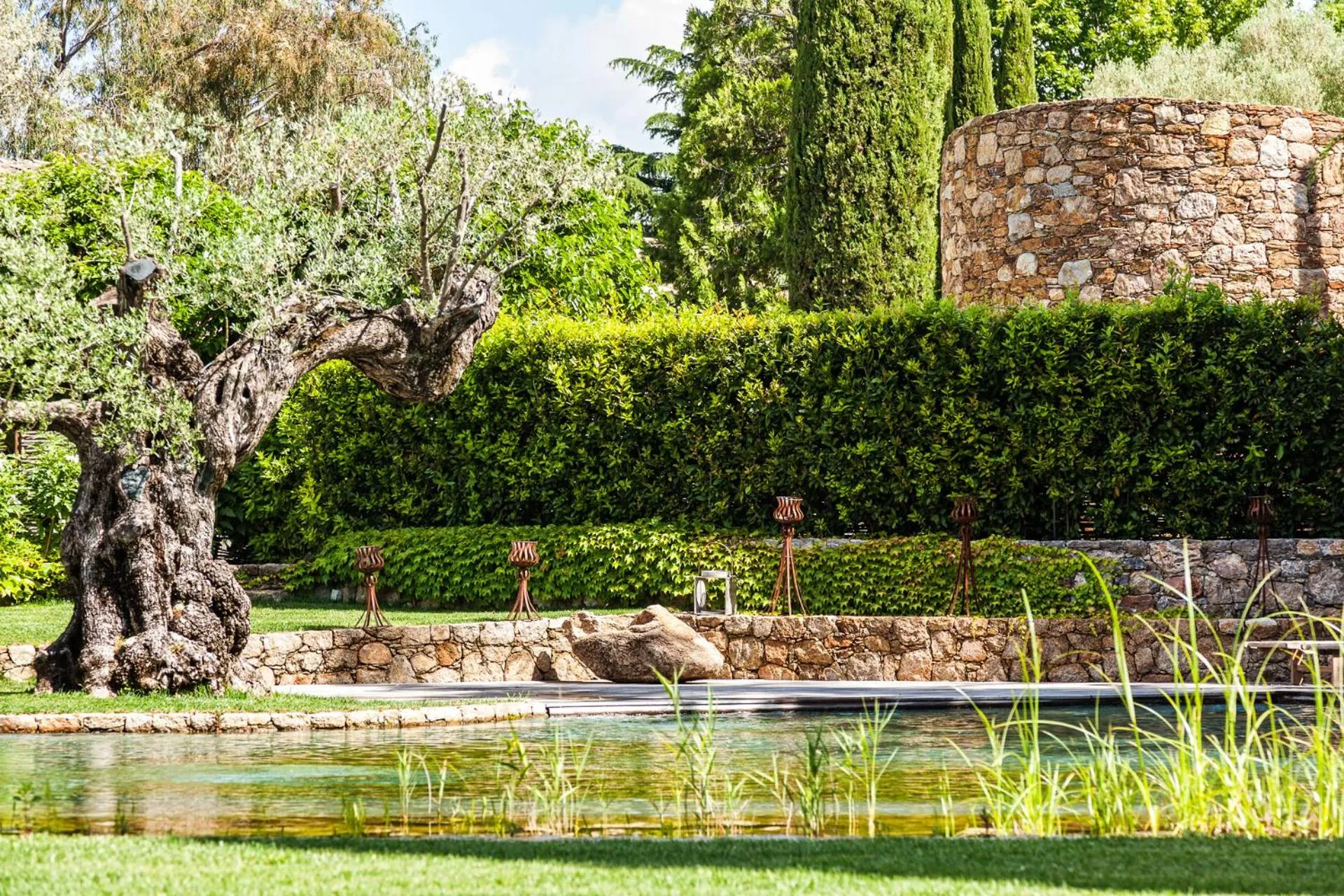 Spring in Domaine Les Mésanges