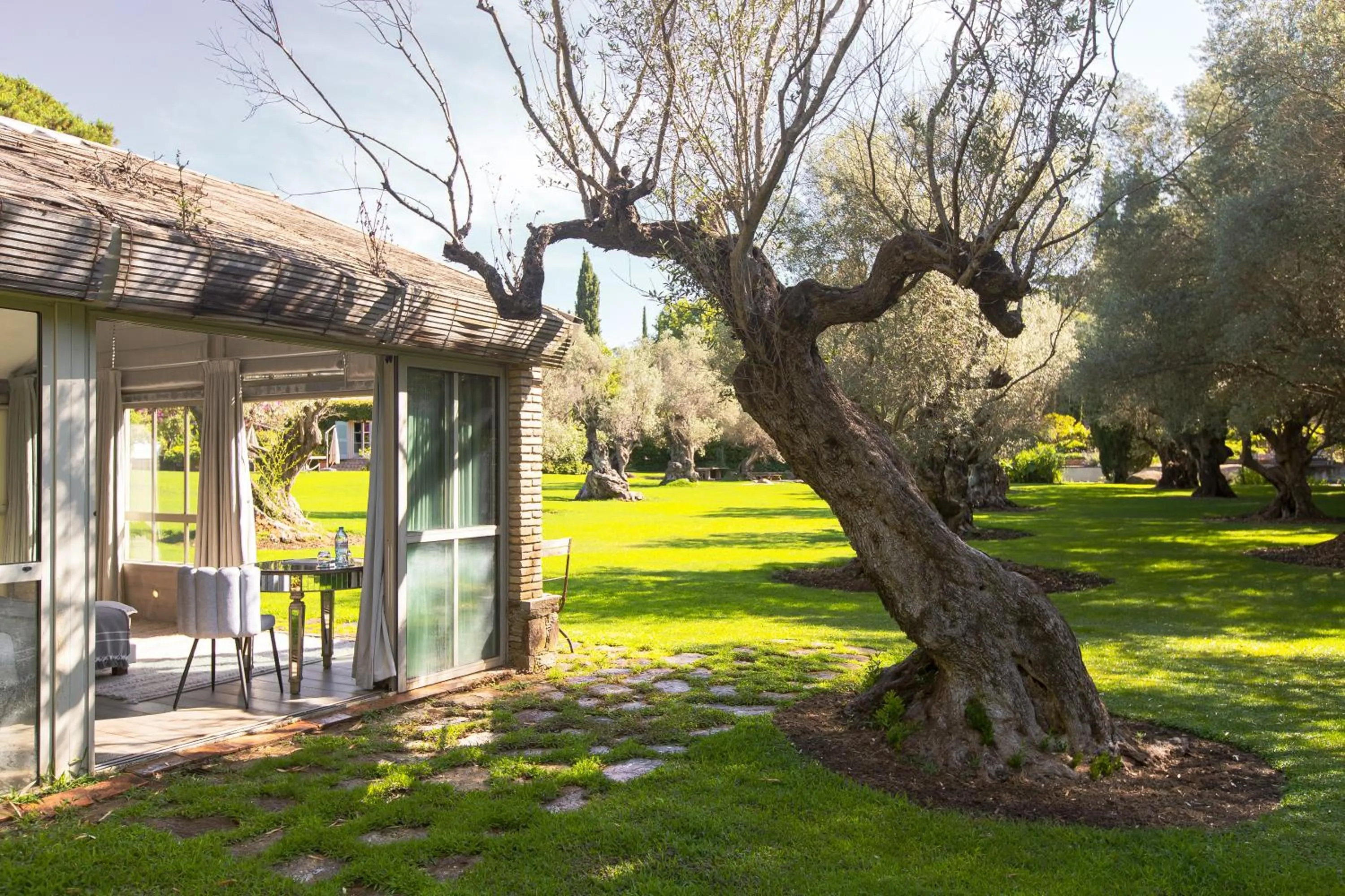 Natural landscape in Domaine Les Mésanges