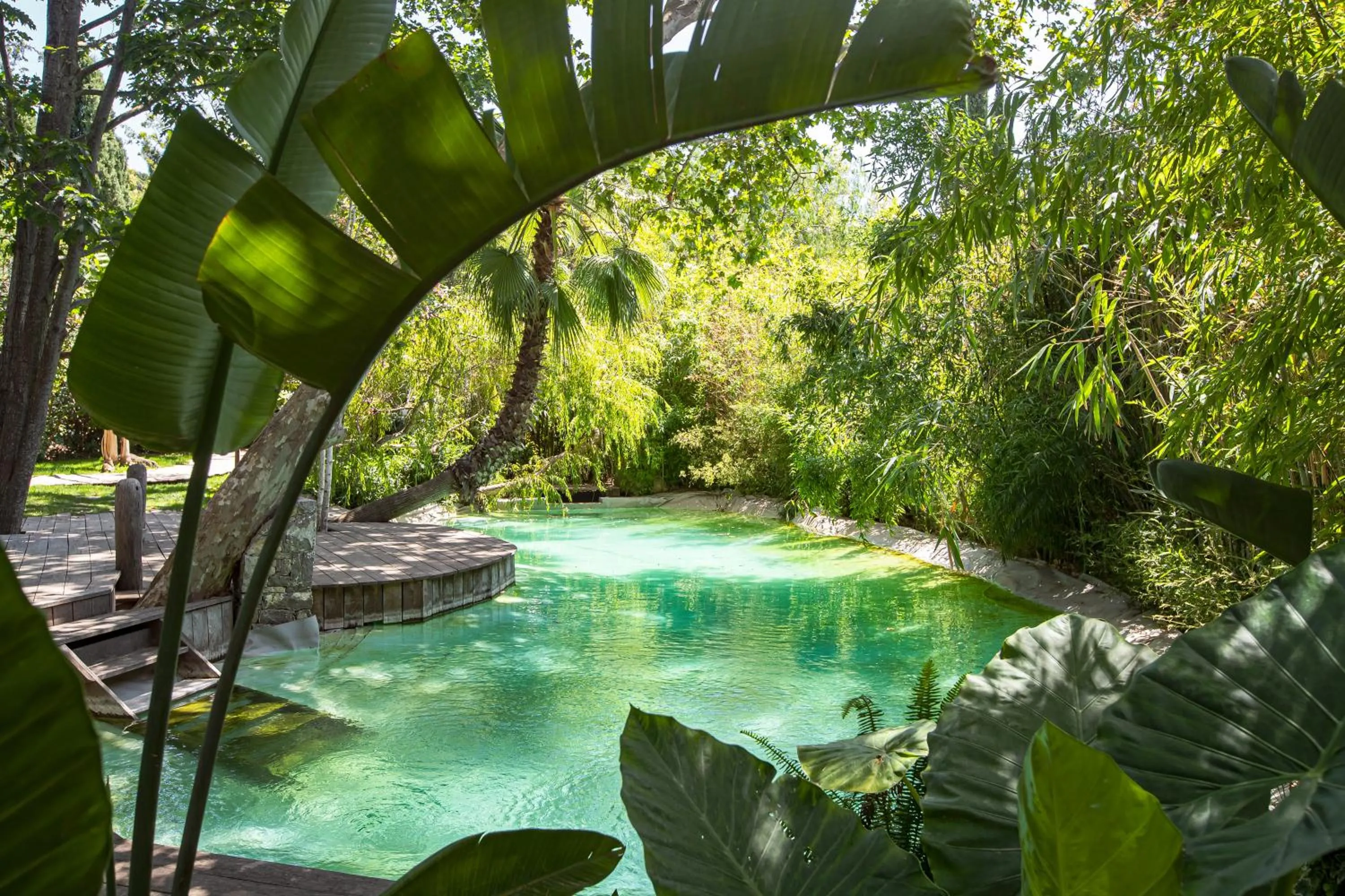 Garden view in Domaine Les Mésanges