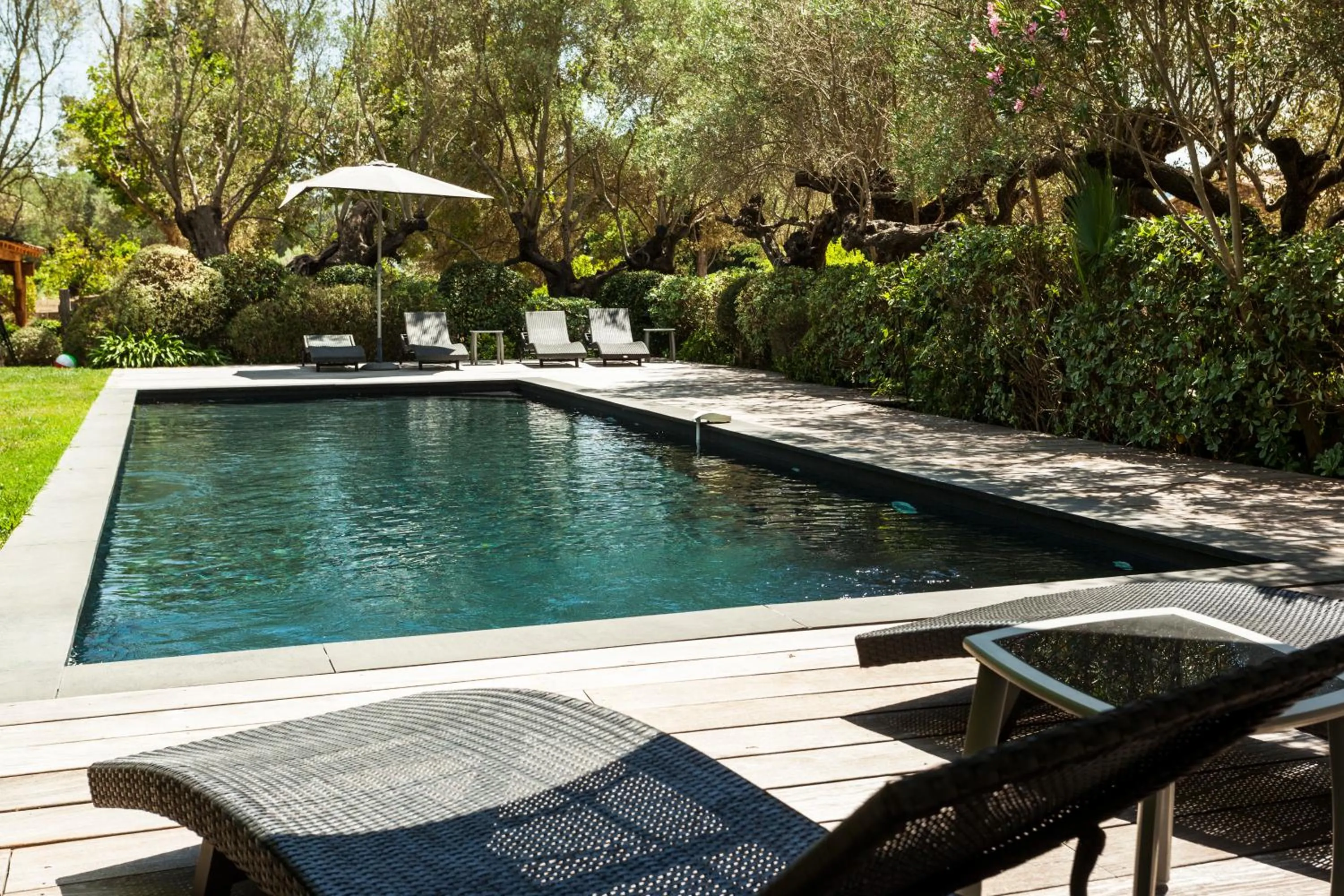 Swimming pool in Domaine Les Mésanges