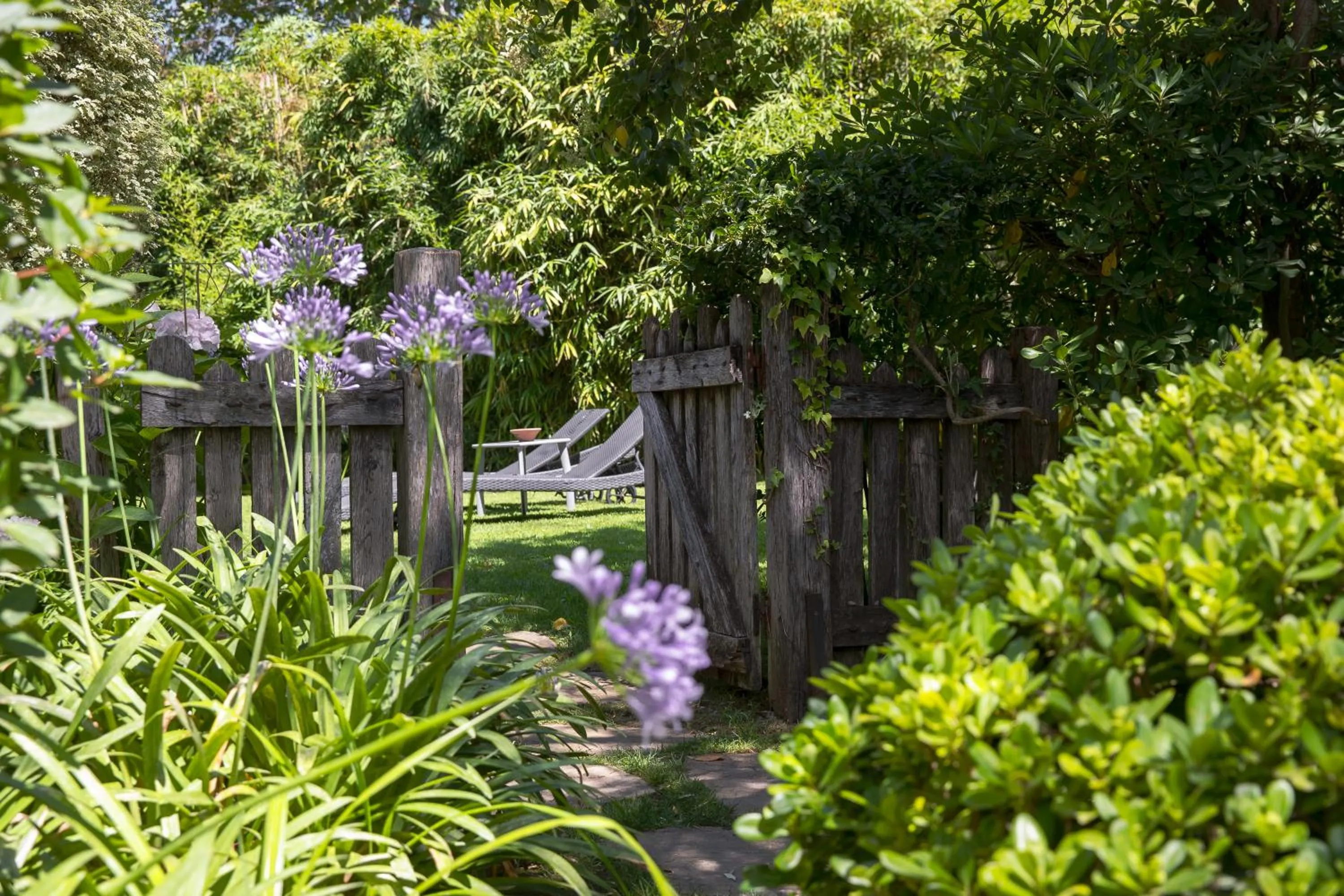 Swimming pool in Domaine Les Mésanges