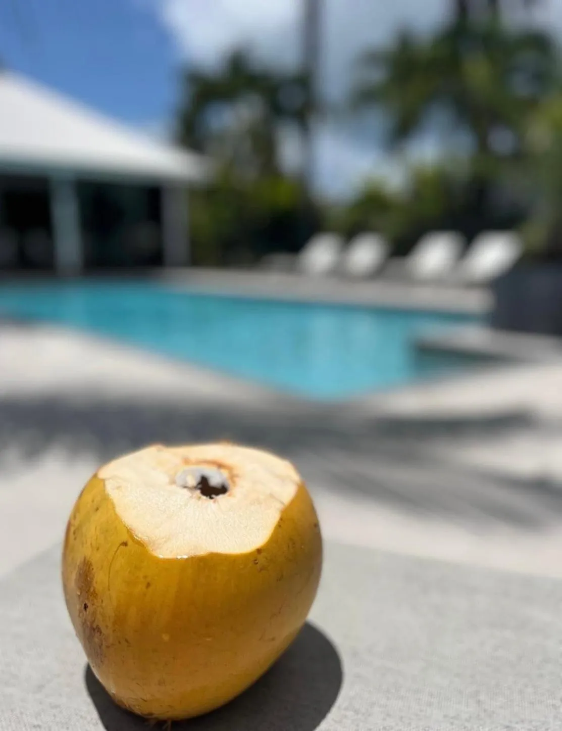 Swimming pool in Domaine Saint-François