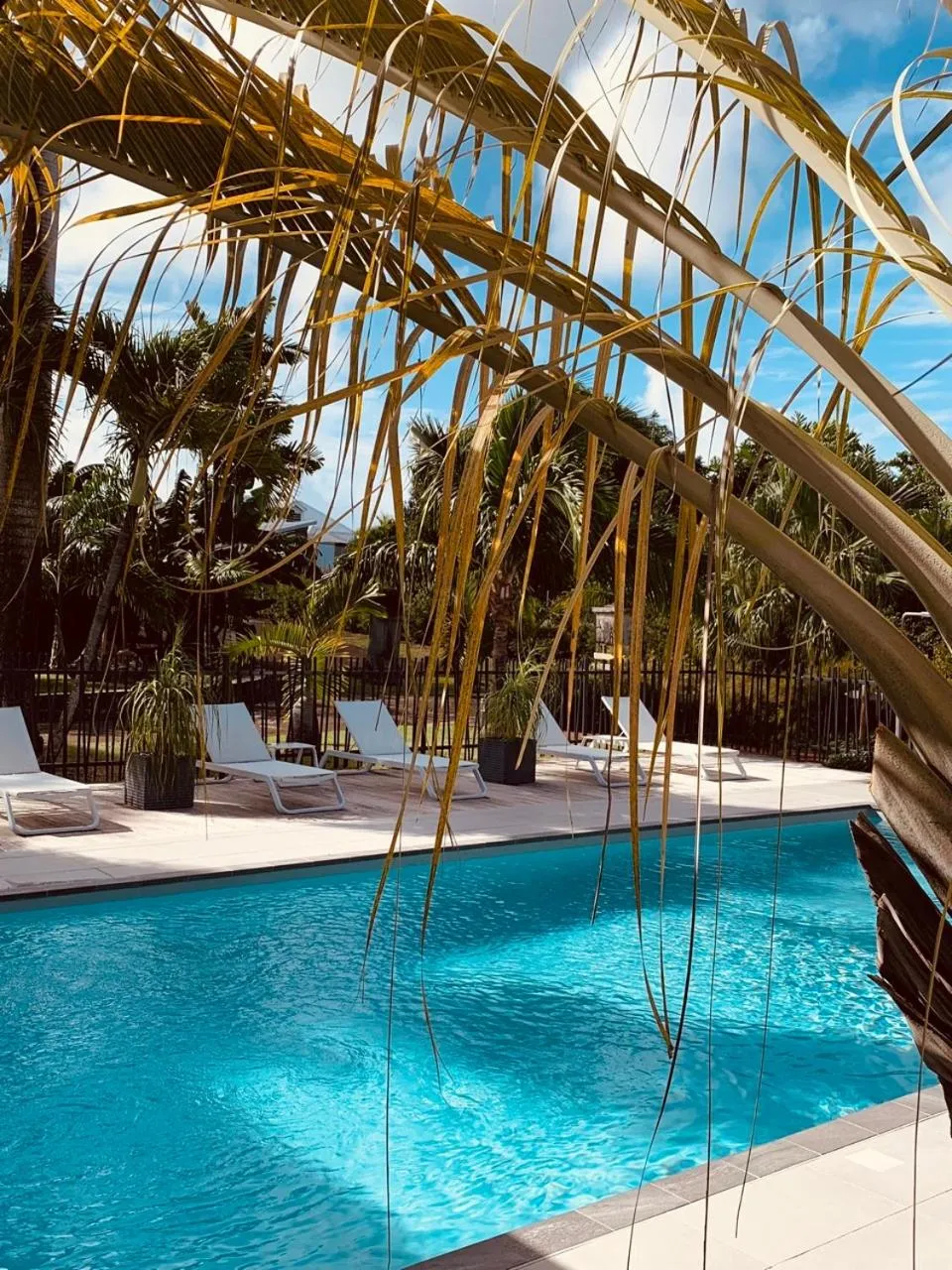Swimming pool in Domaine Saint-François