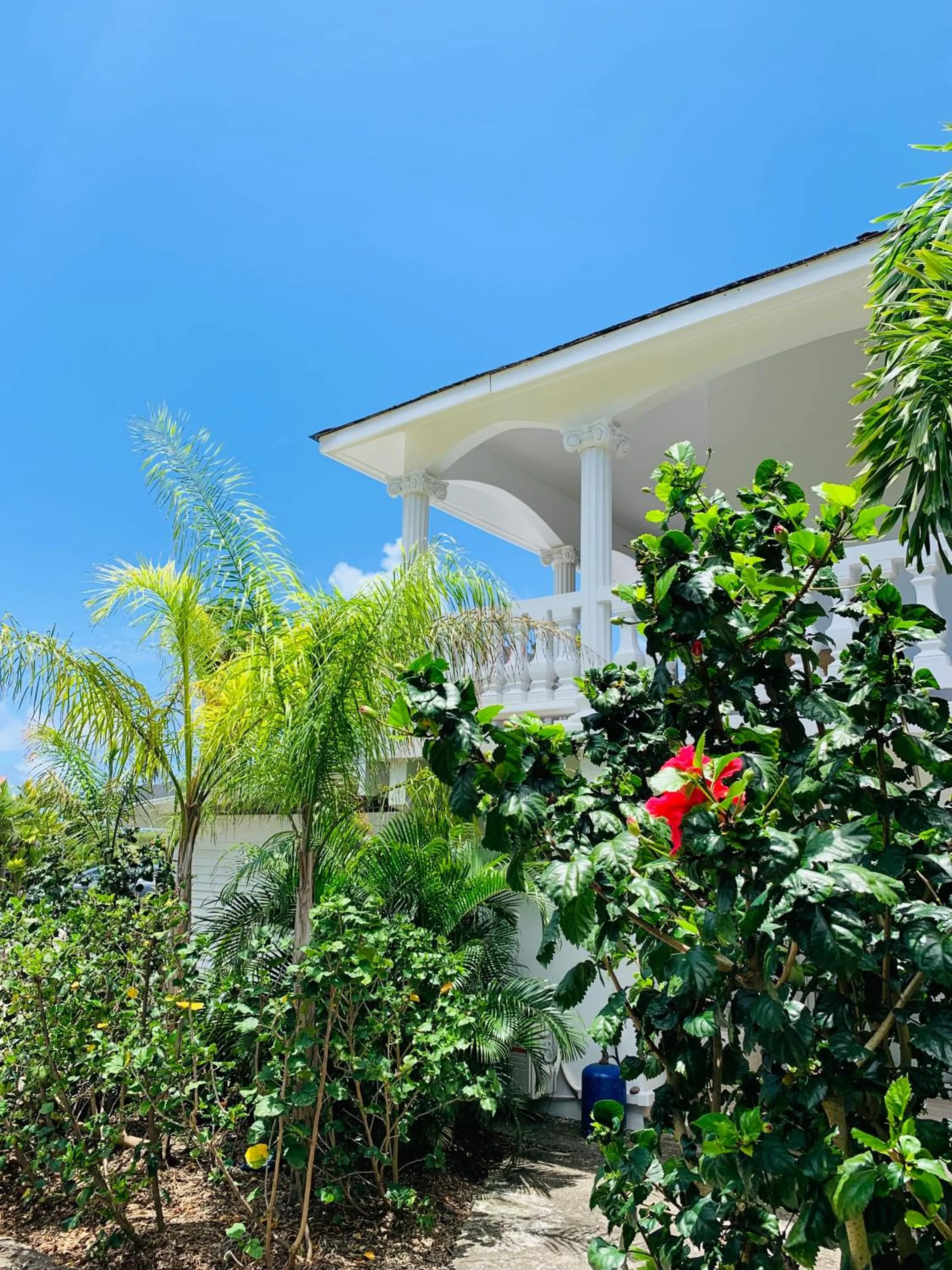 View (from property/room) in Domaine Saint-François