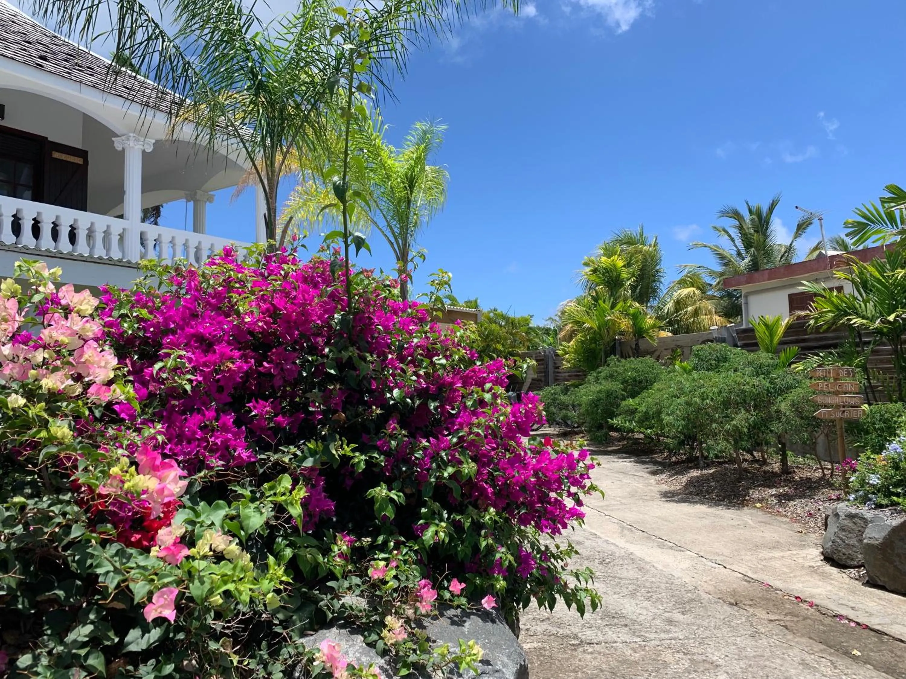 Garden in Domaine Saint-François