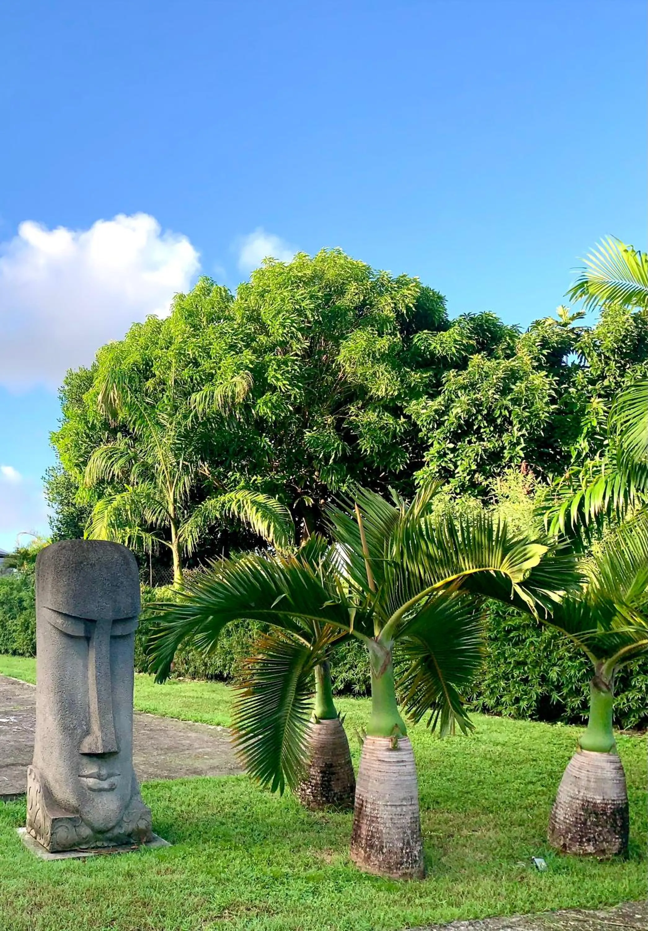 Garden view in Domaine Saint-François