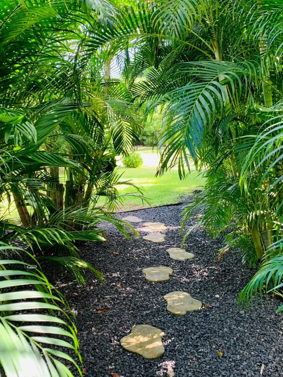 Garden in Domaine Saint-François