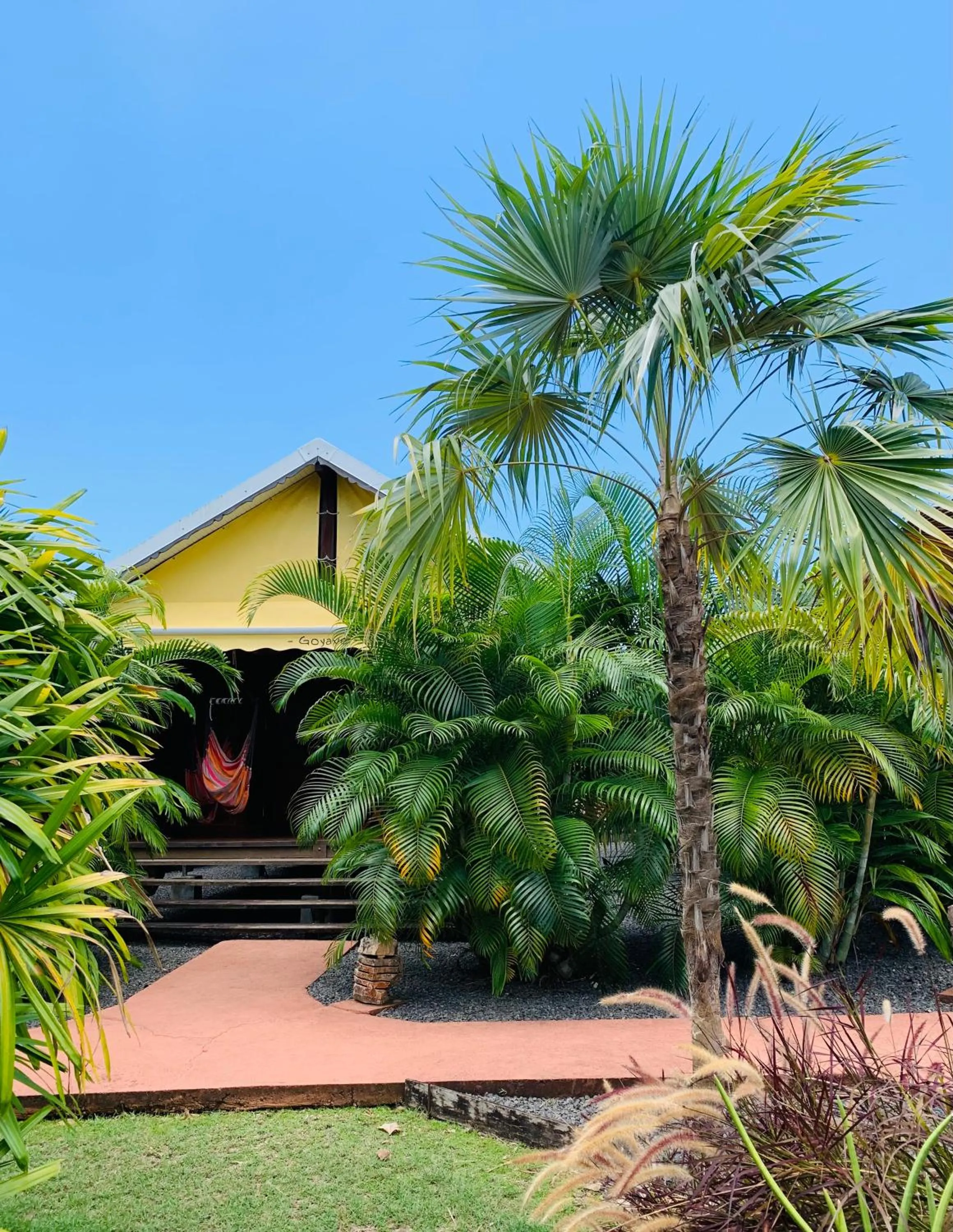 View (from property/room) in Domaine Saint-François