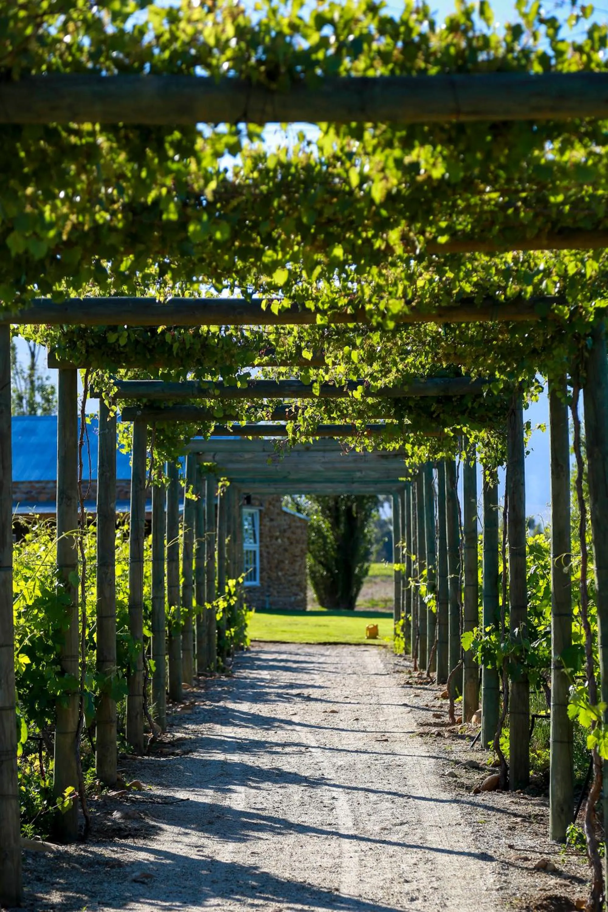 Facade/entrance in Saronsberg Vineyard Cottages