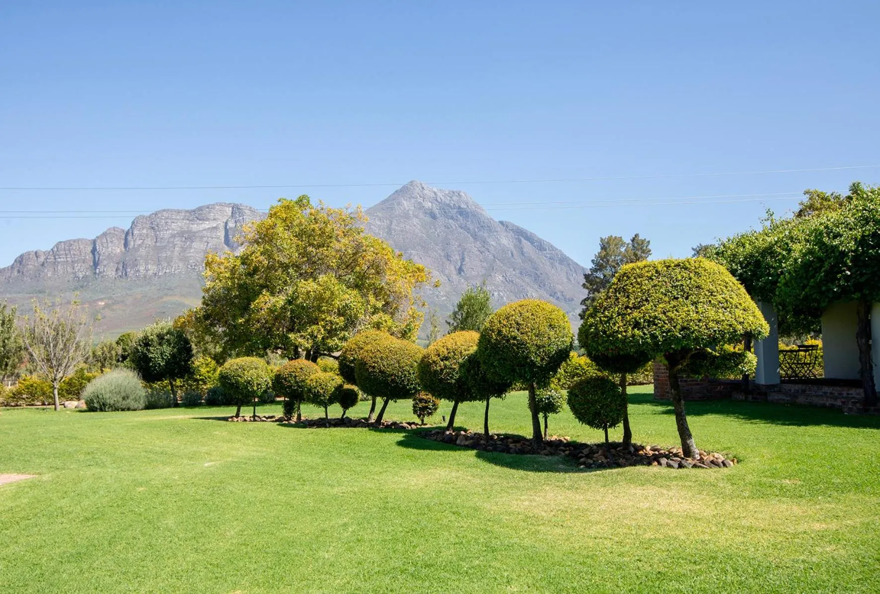 Garden in Saronsberg Vineyard Cottages