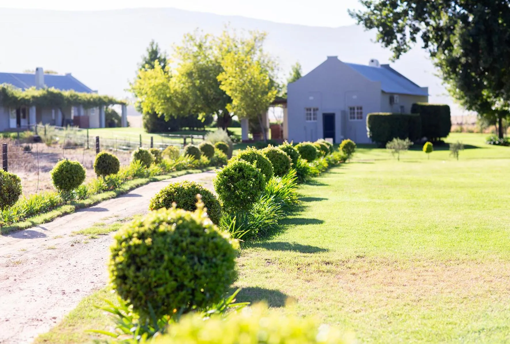 View (from property/room) in Saronsberg Vineyard Cottages