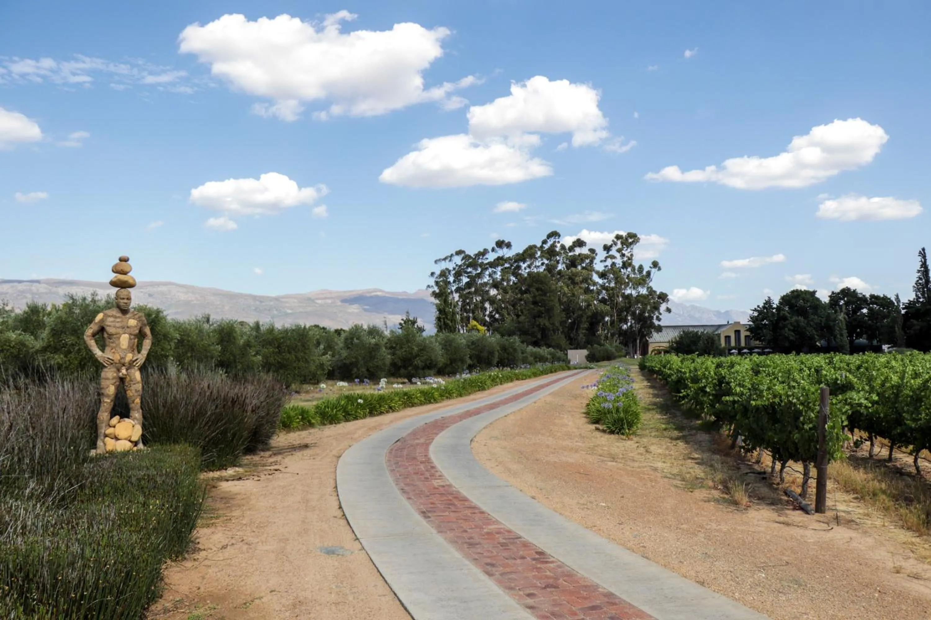 Natural landscape in Saronsberg Vineyard Cottages