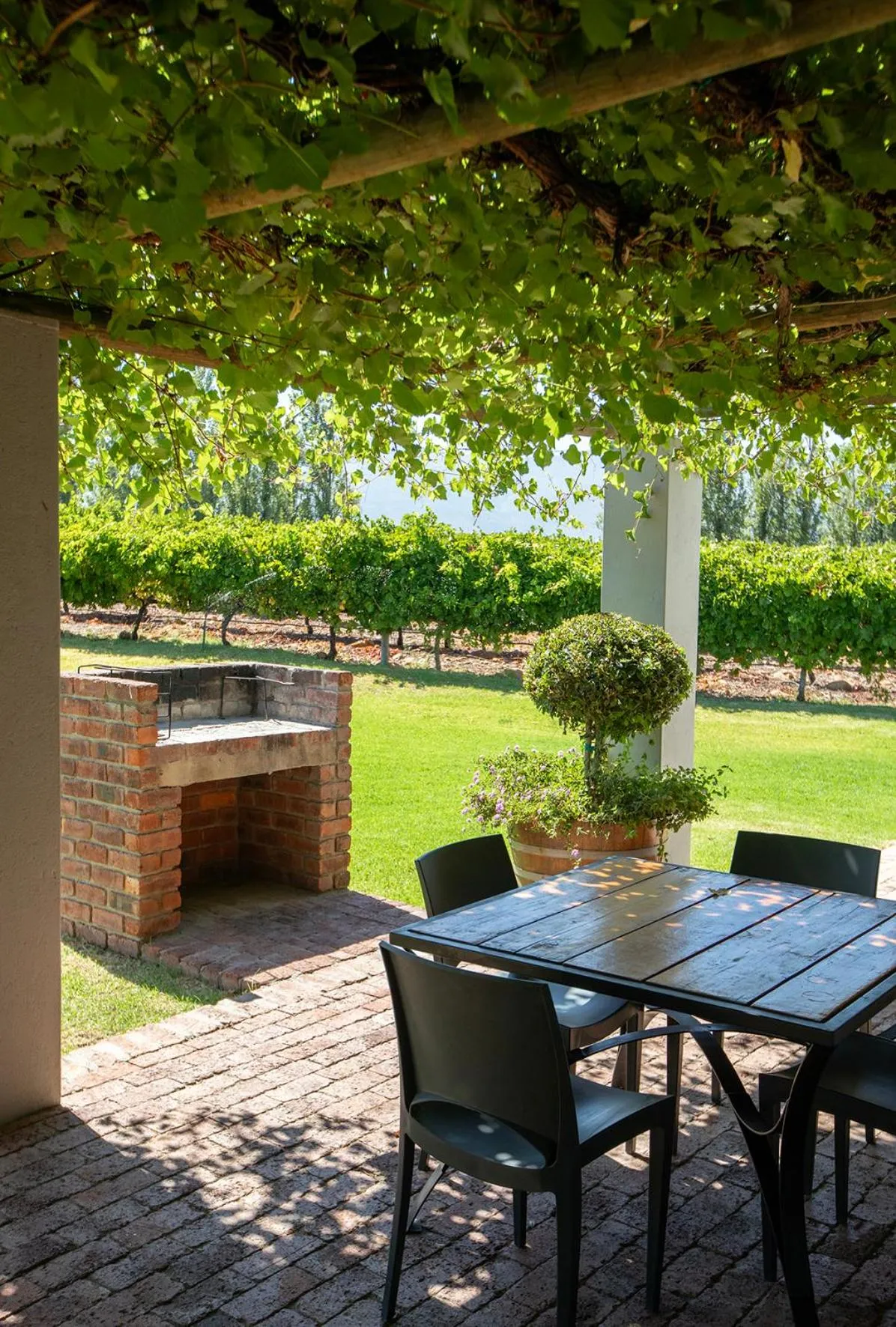 BBQ facilities in Saronsberg Vineyard Cottages