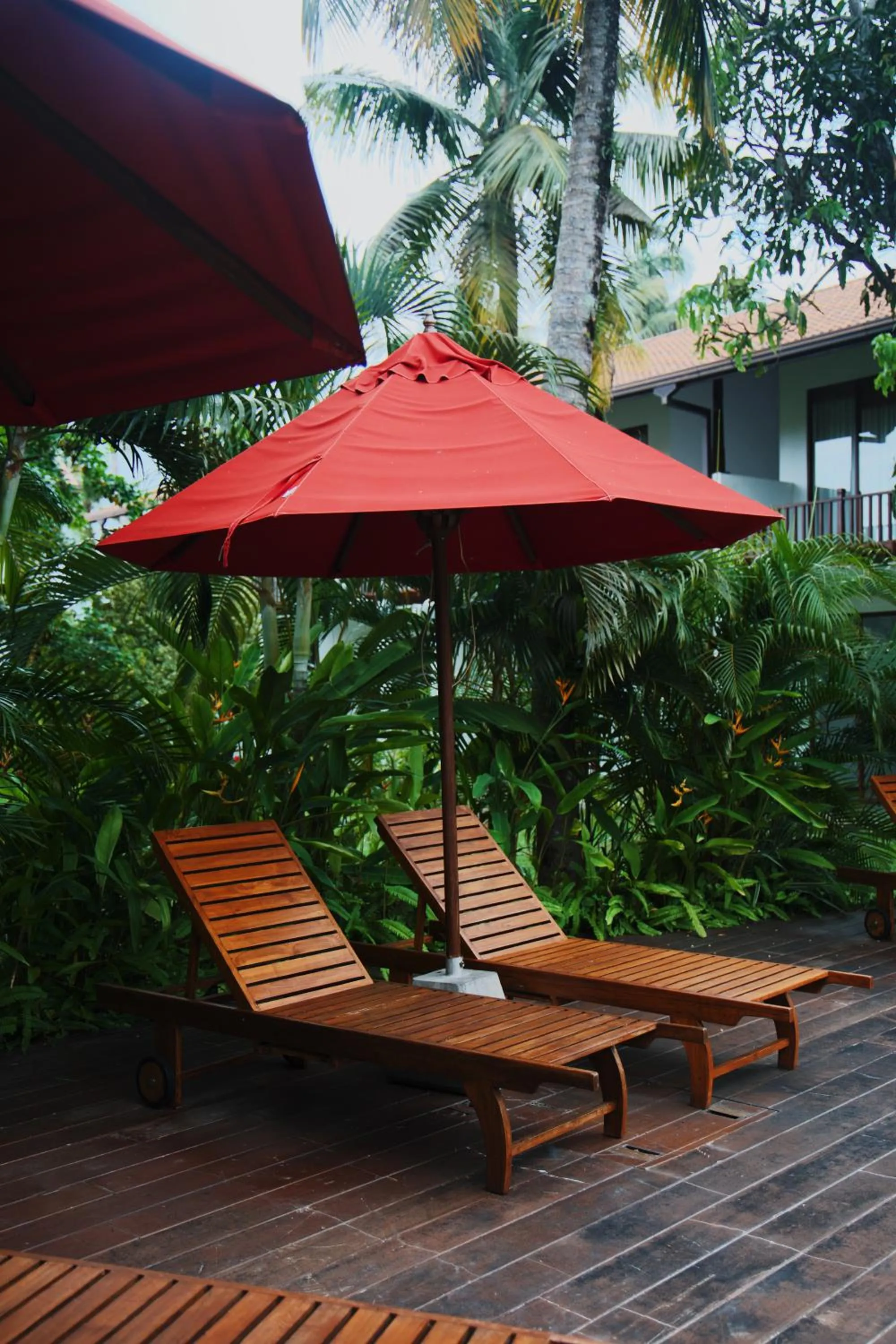 Swimming pool in Palm Garden Ayurveda Resort
