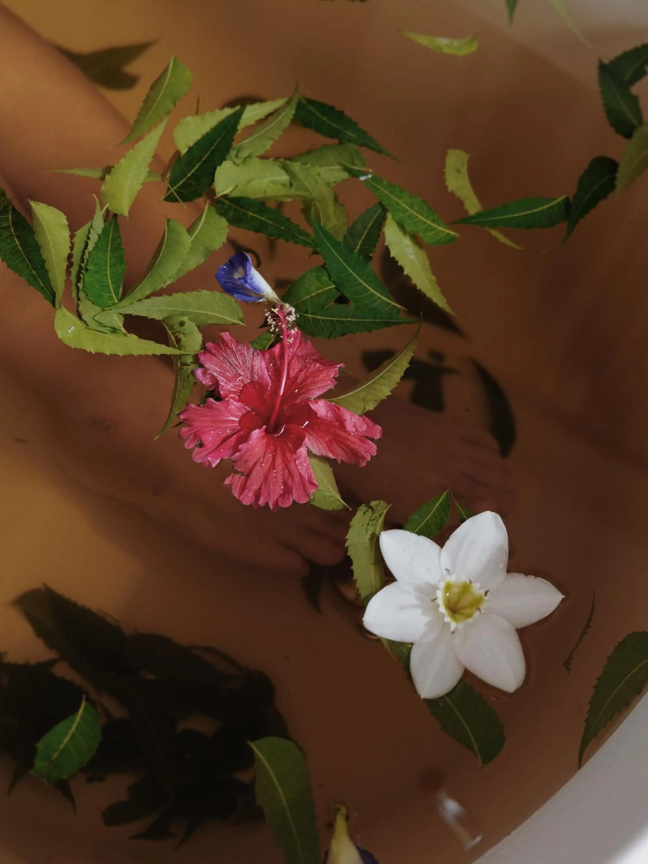 Spa and wellness centre/facilities in Palm Garden Ayurveda Resort