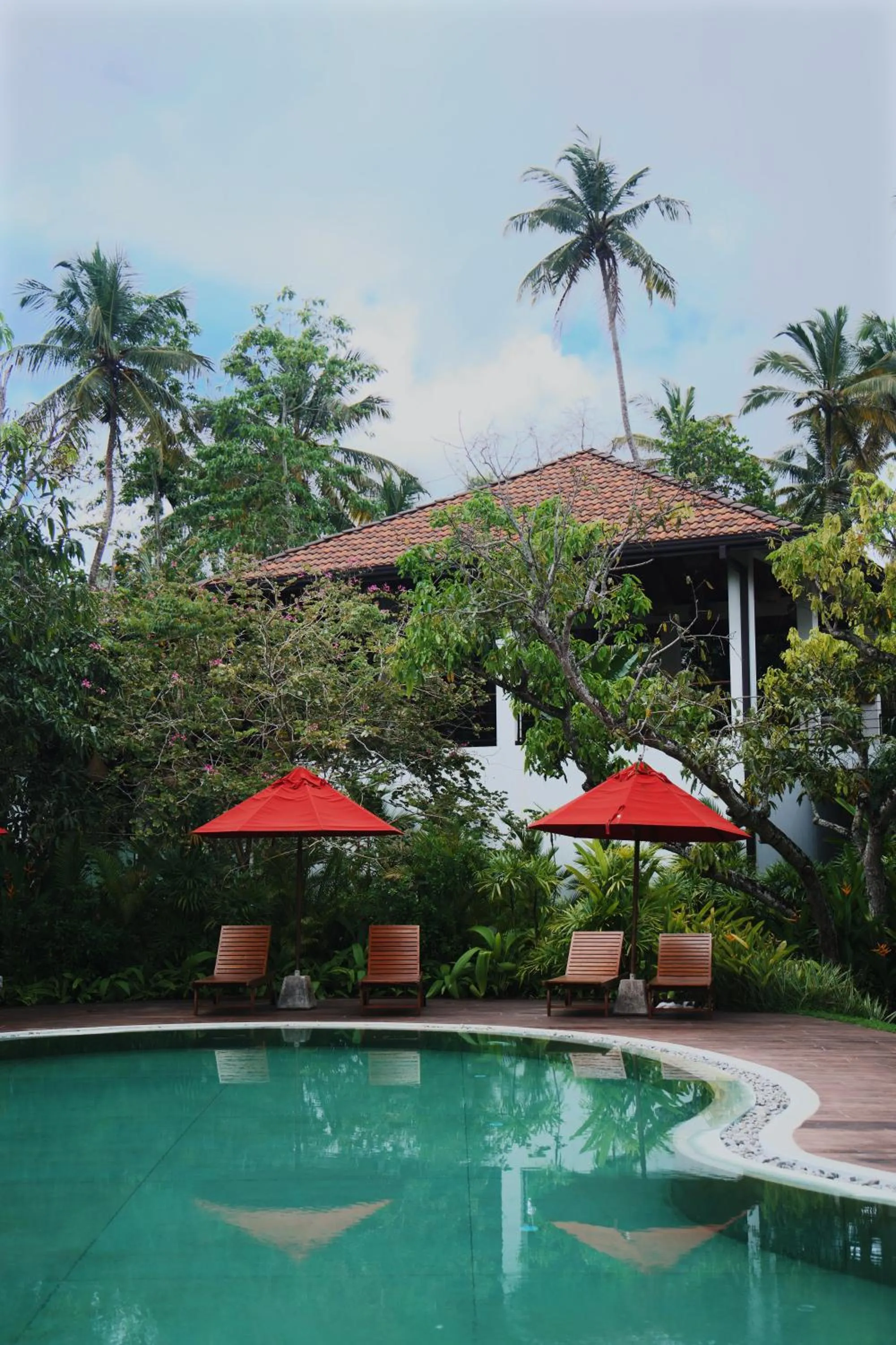 Swimming pool in Palm Garden Ayurveda Resort