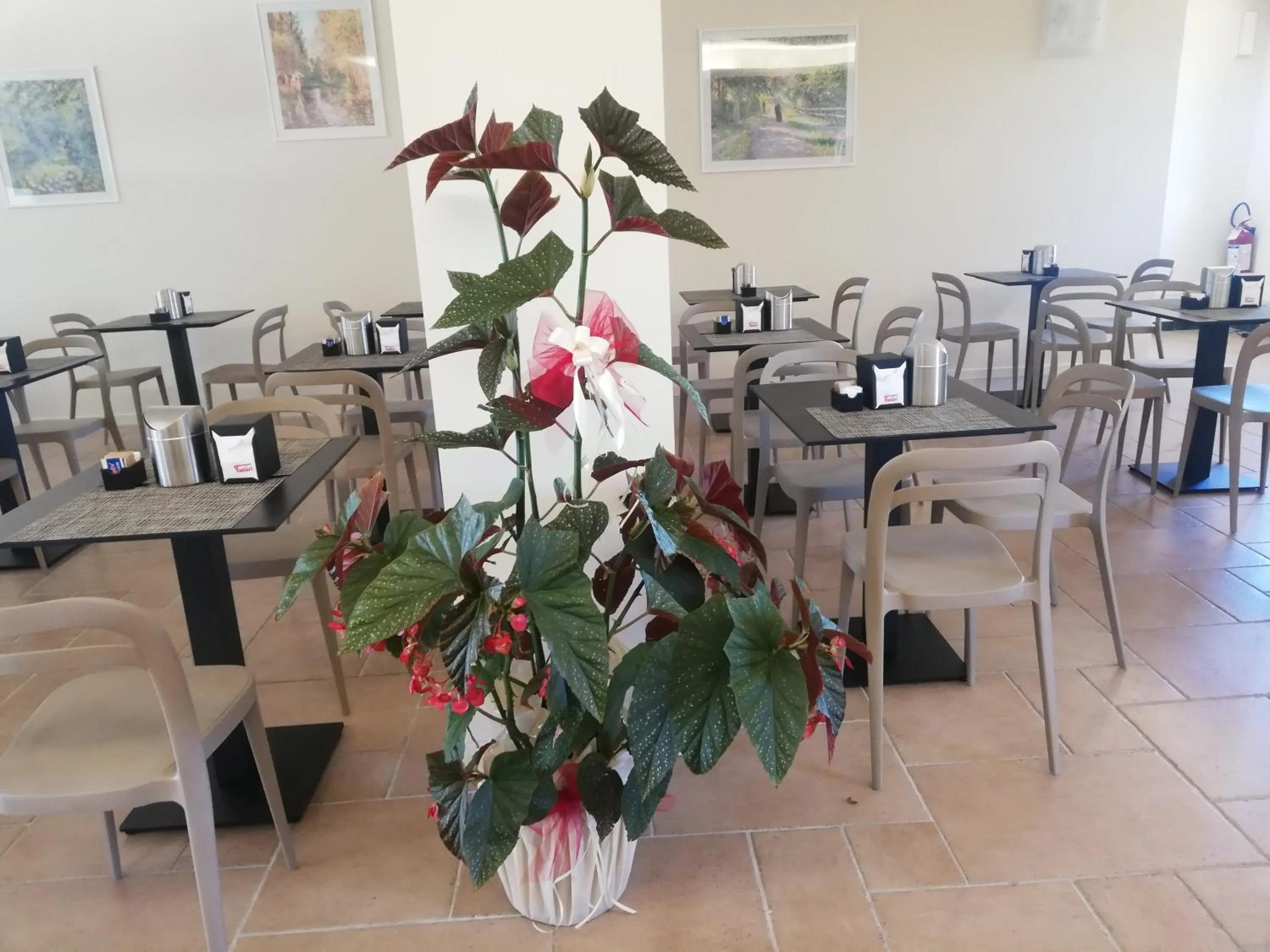 Breakfast in Villa Nadar