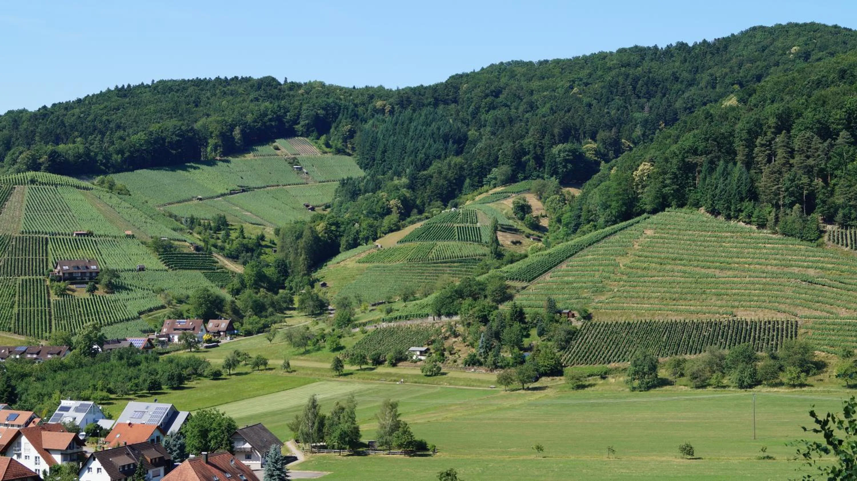 Natural landscape in Hotel Schwarzenbergs Traube