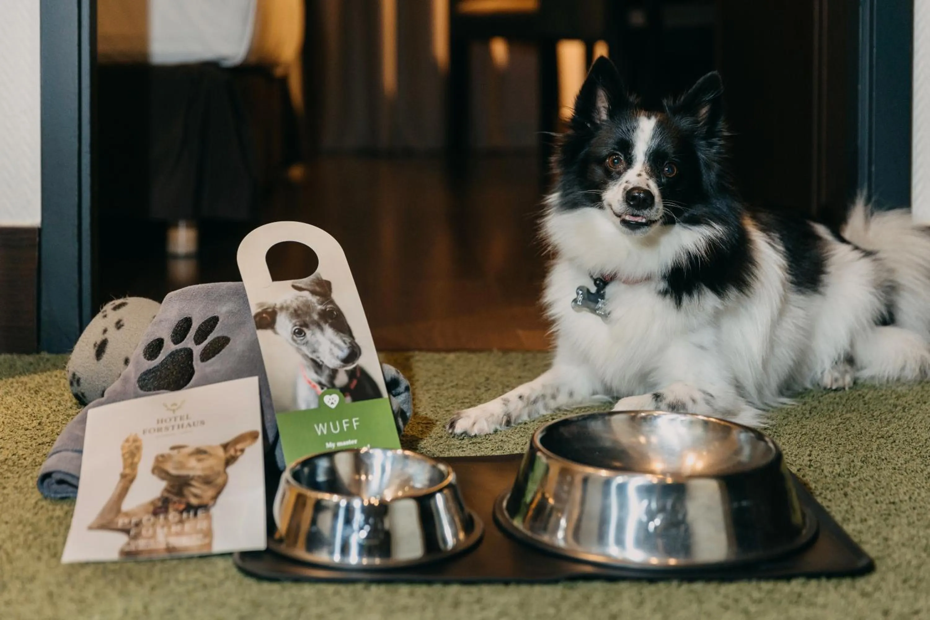 Pets in Hotel Forsthaus Nürnberg Fürth