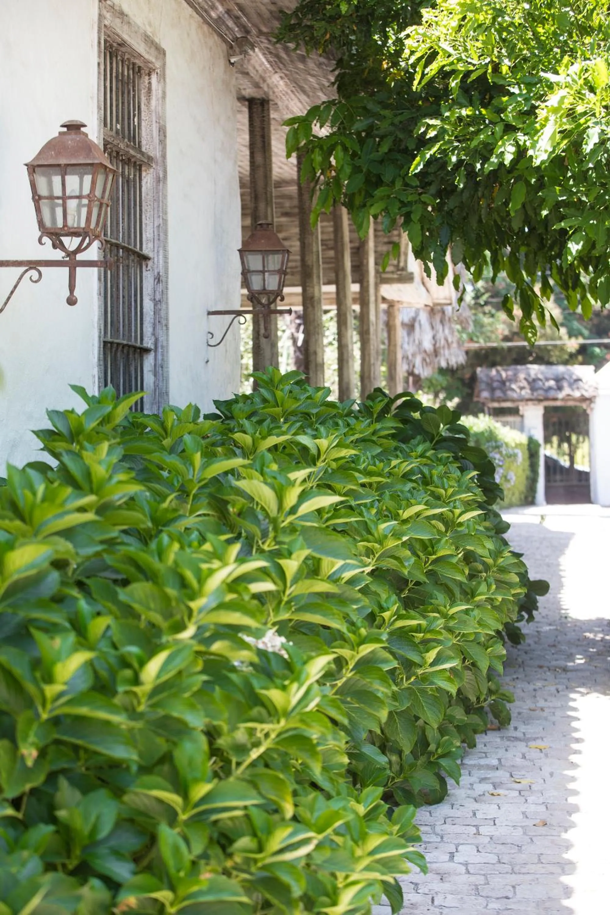 Facade/entrance in Hotel Casa Silva