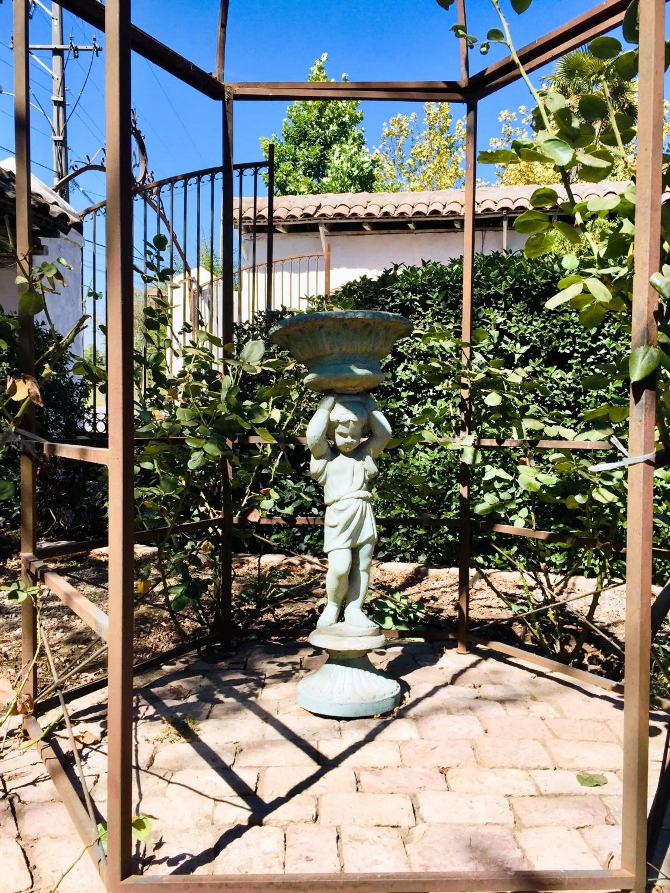 Garden in Hotel Casa Silva