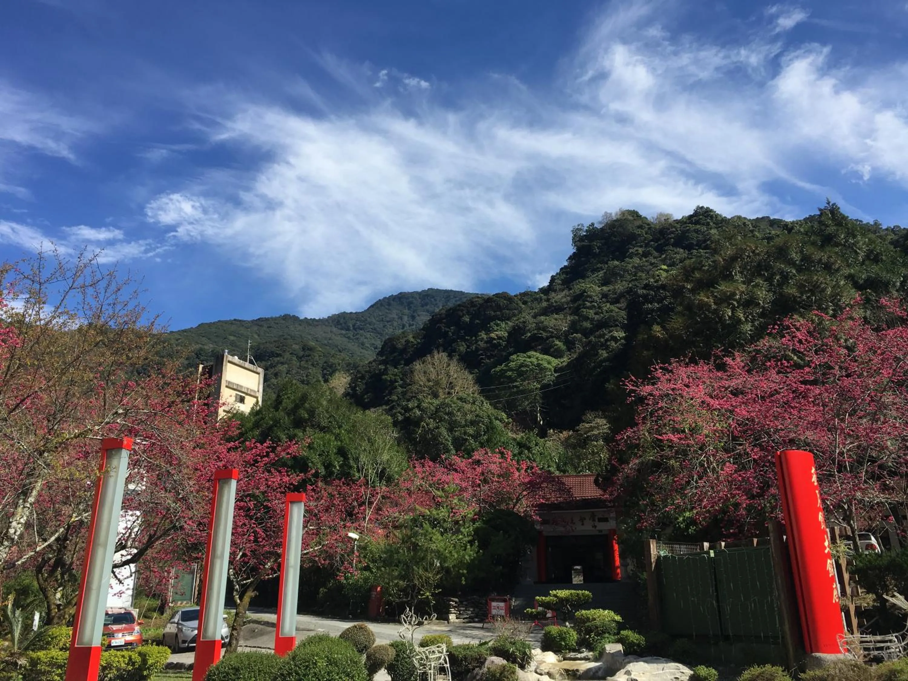 Spring in Honey Moon Hotel