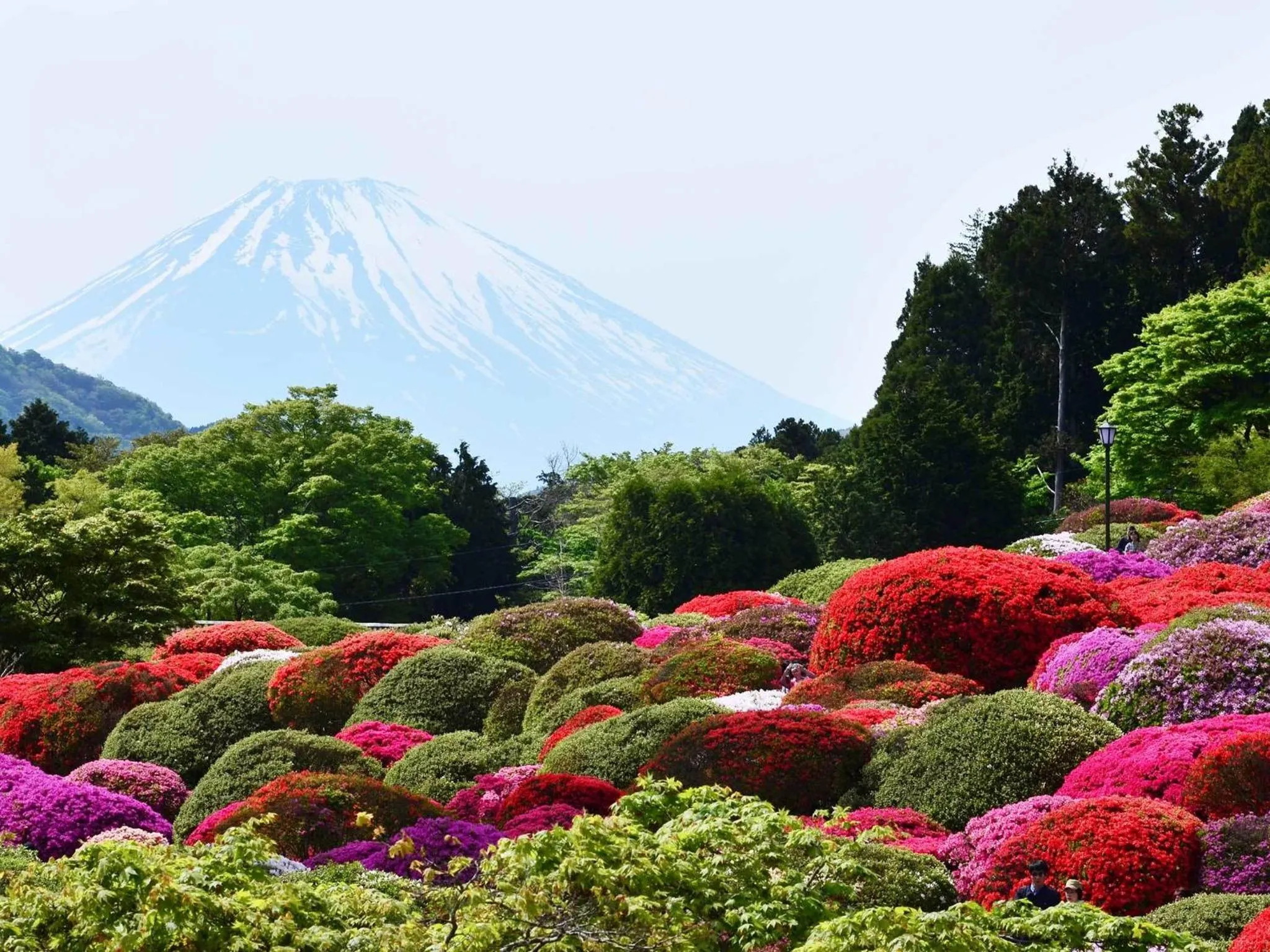 Off site, Mountain View in Hotel Musashiya
