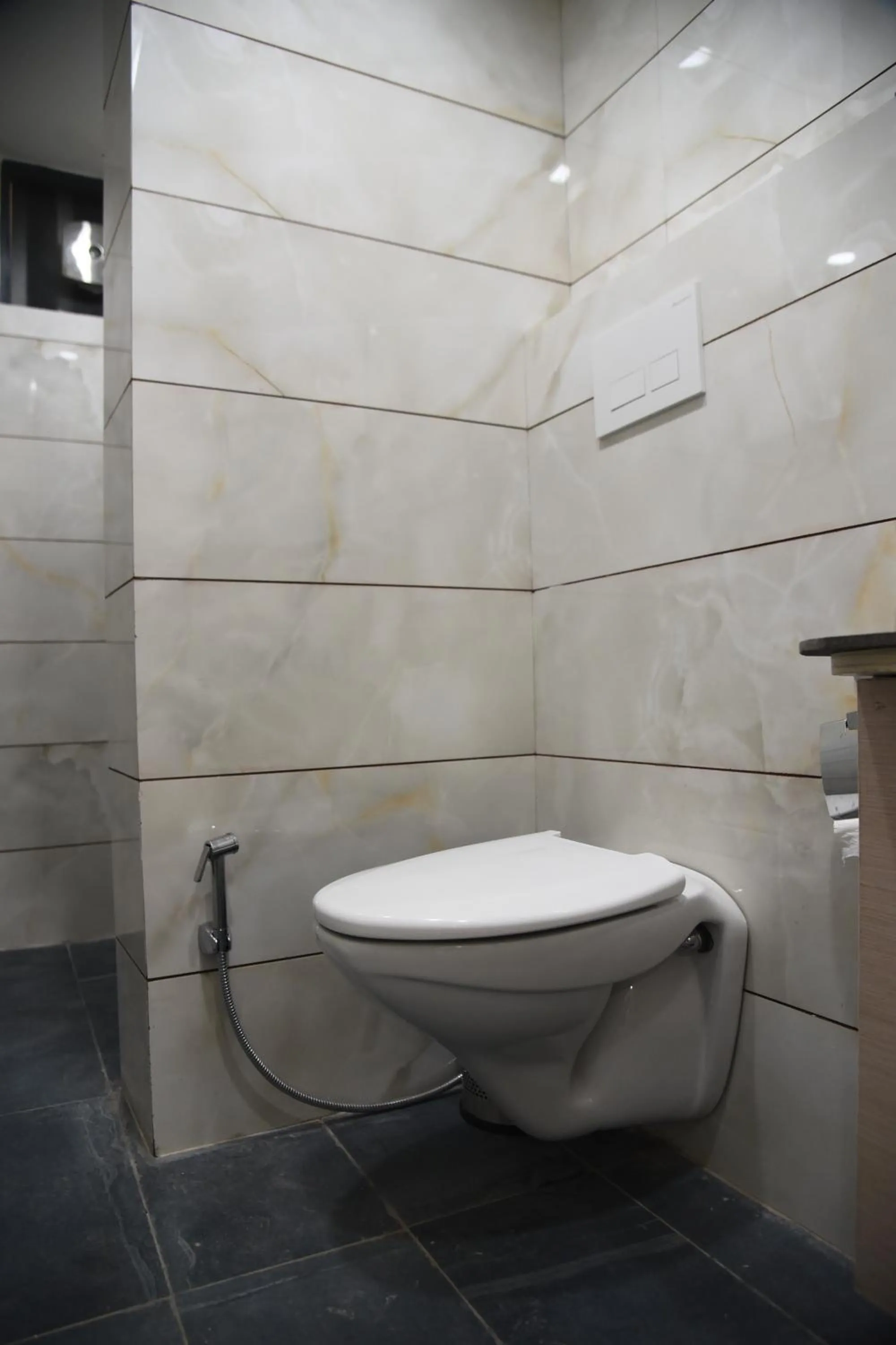 Toilet in Hotel Hamilton