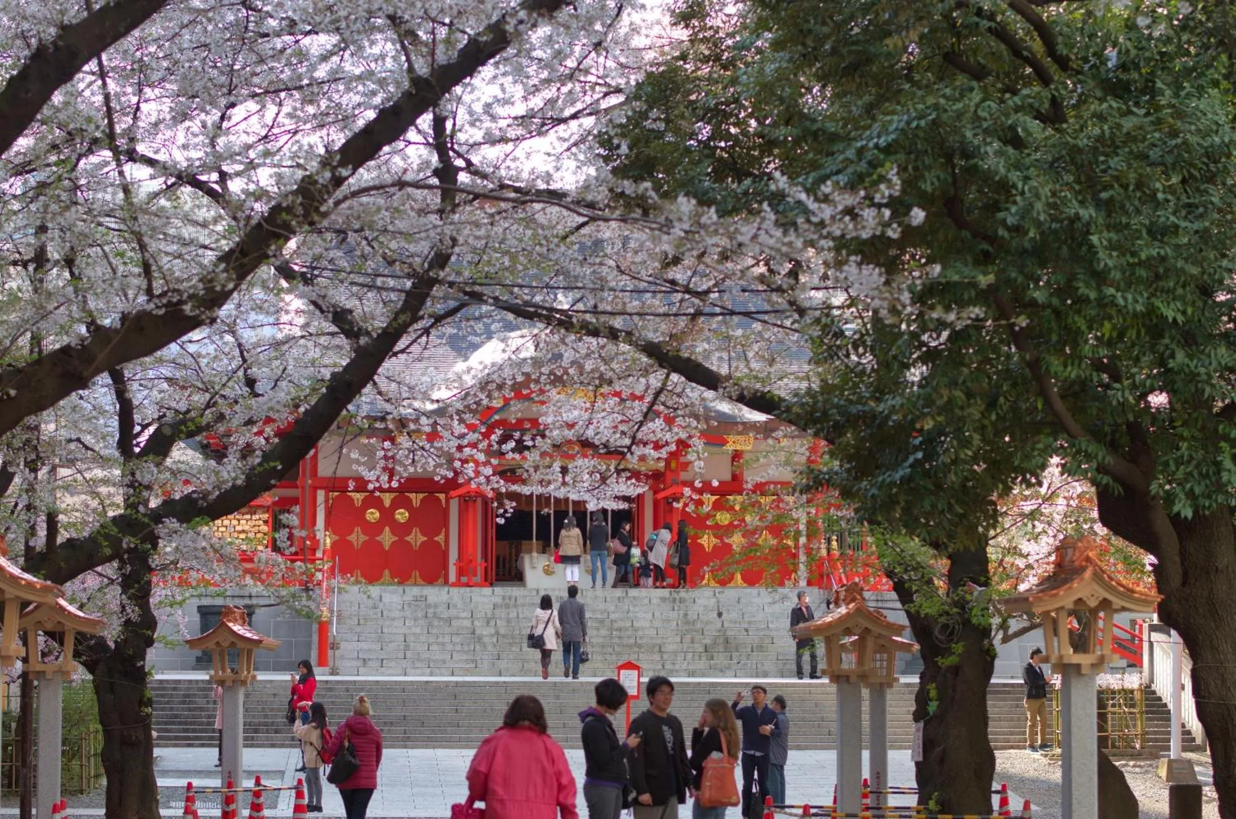 Nearby landmark in Sakura Cross Hotel Shinjuku East Annex