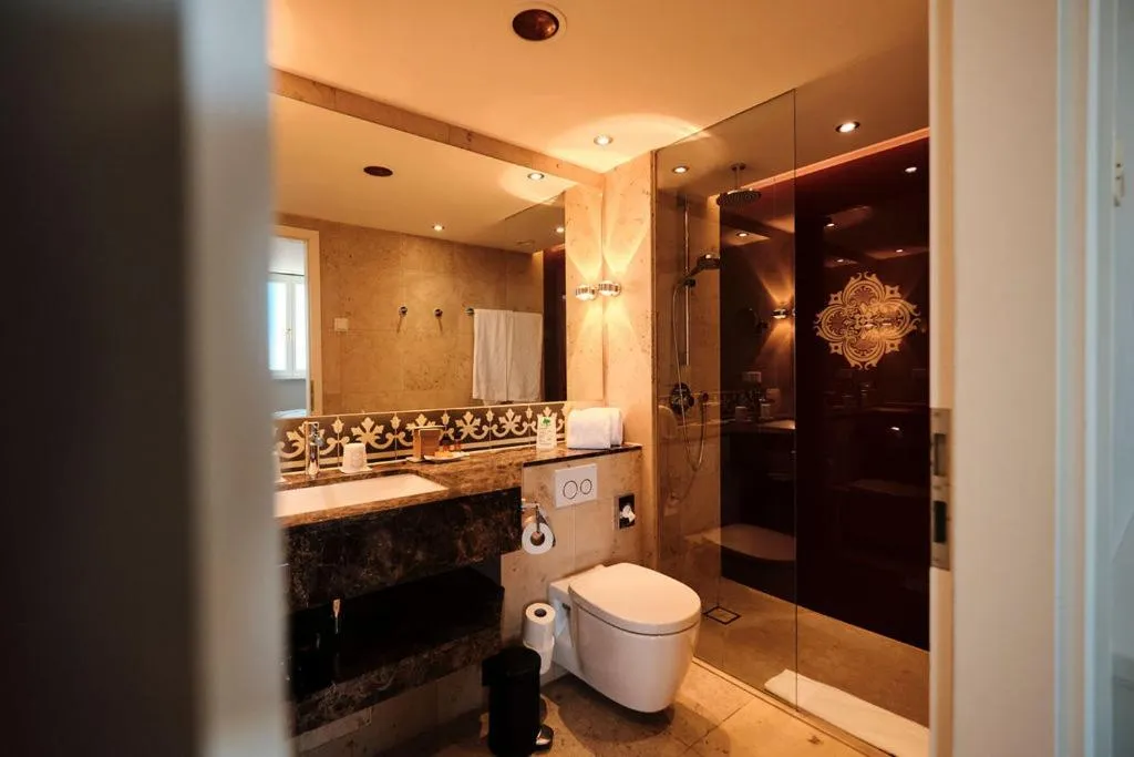 Shower in Hotel Halm Konstanz