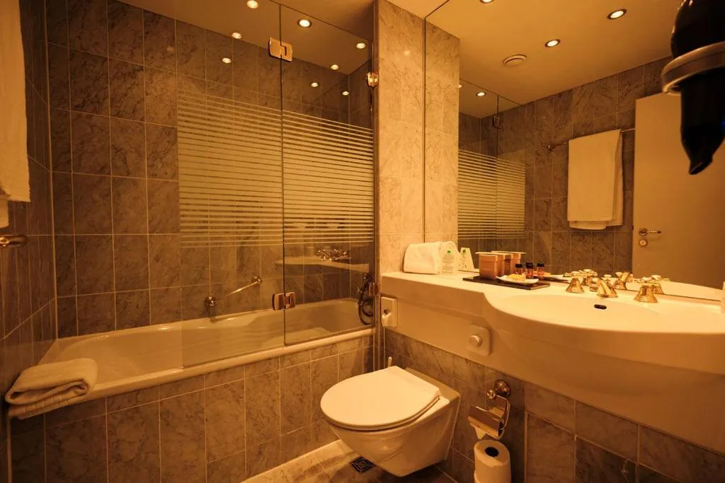 Shower in Hotel Halm Konstanz