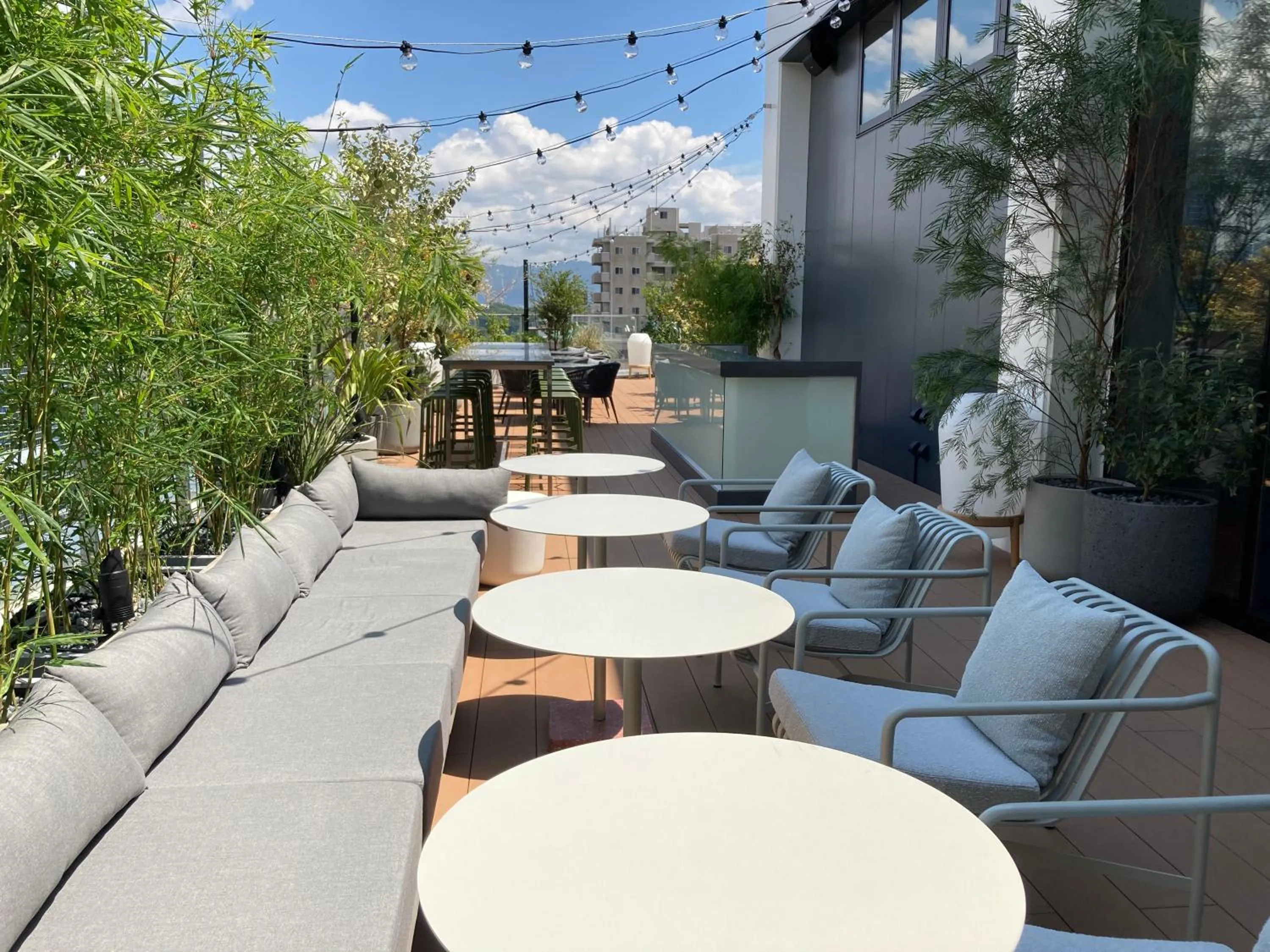 Day in The Knot Hiroshima