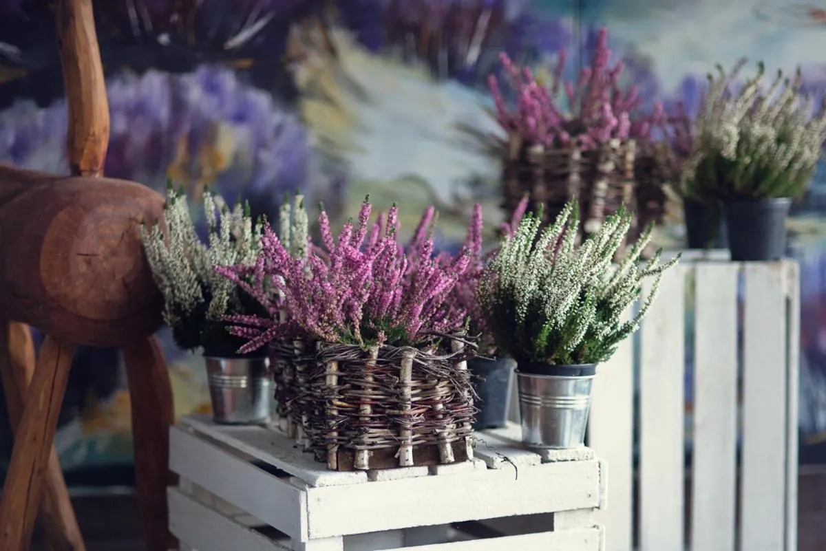 Pensjonat "Jodłowy Dwór"