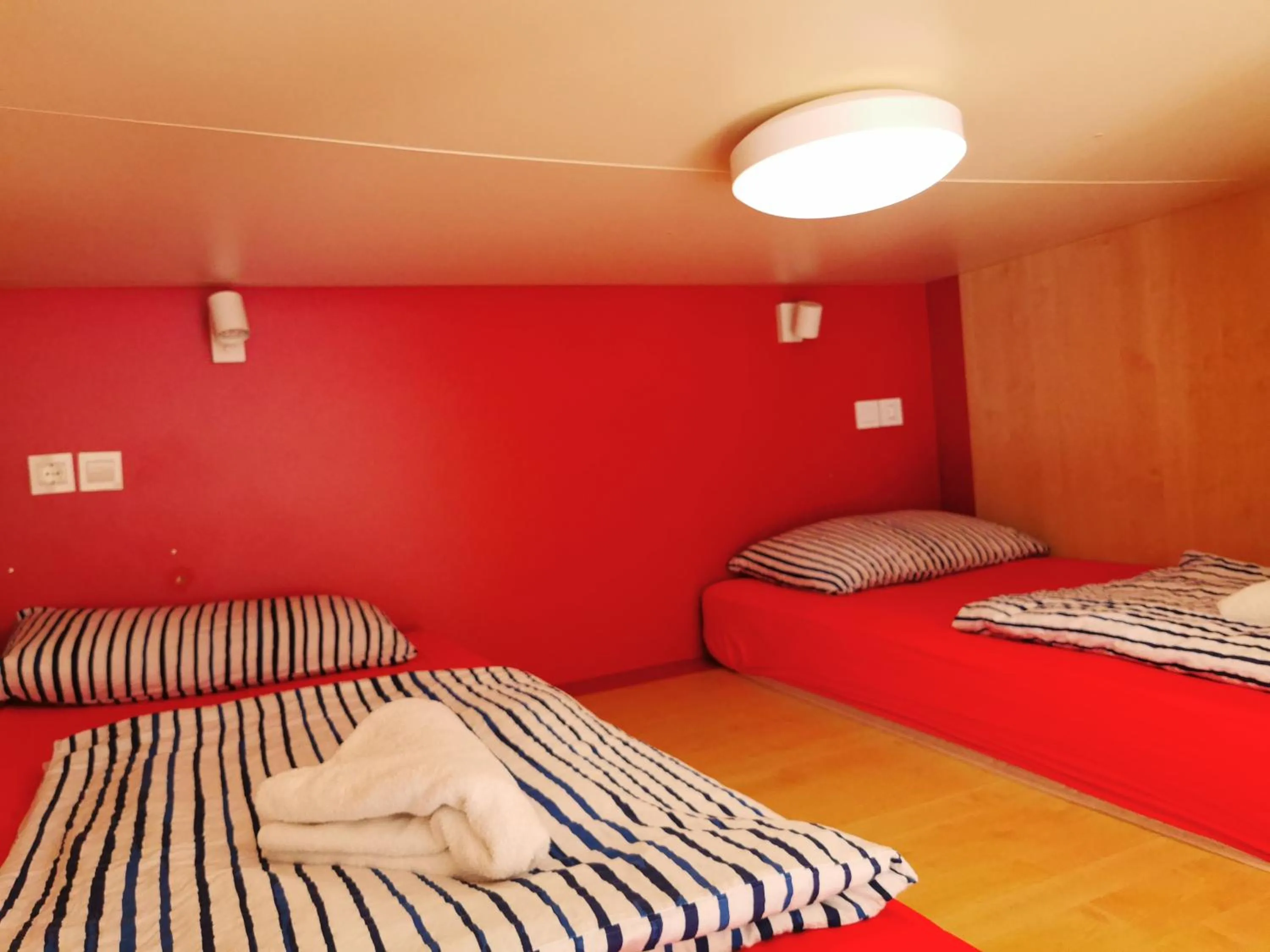 Bed in Cube studio by the river (with free bike rental)