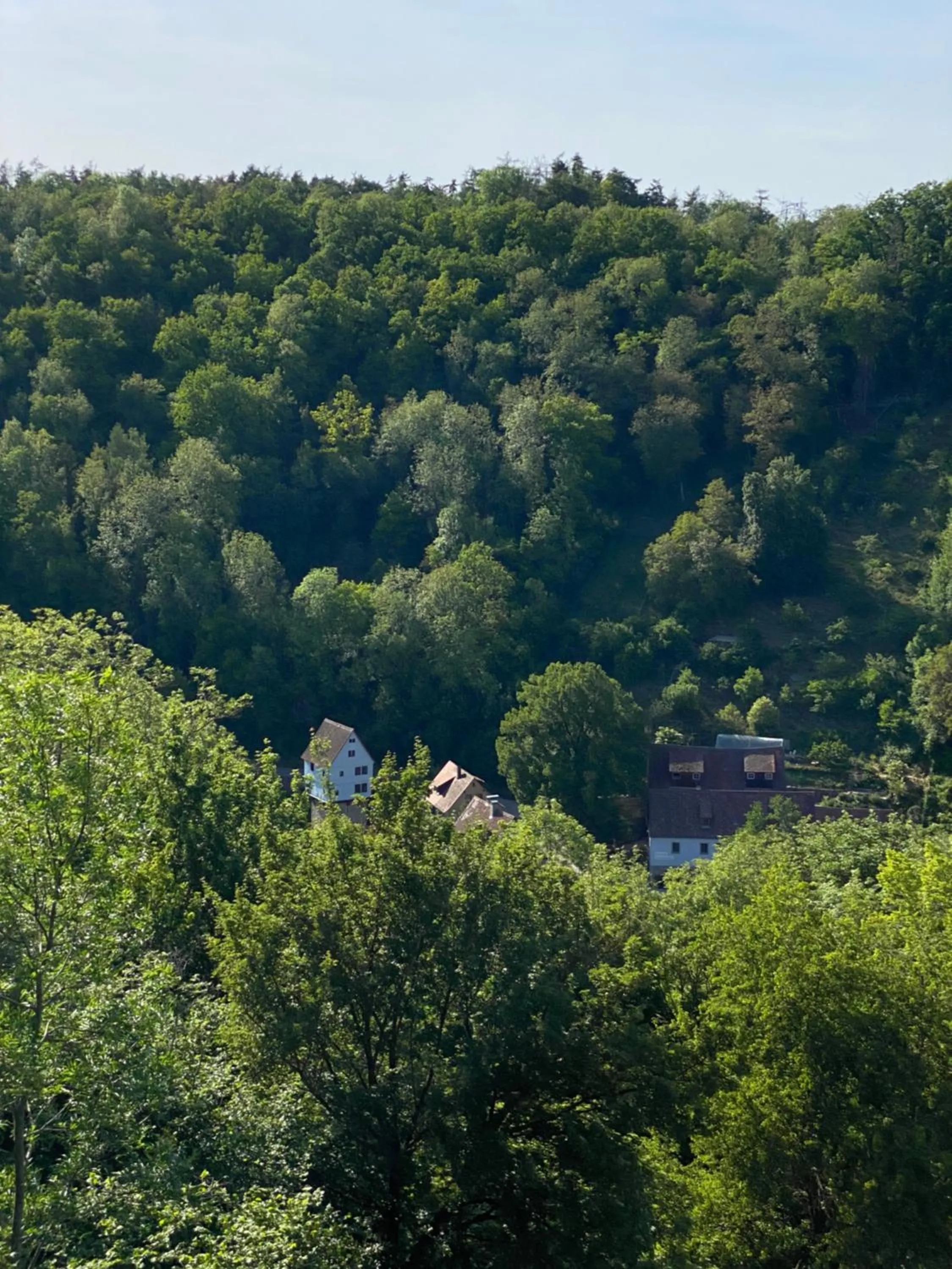 Natural landscape in Prinzhotel Rothenburg