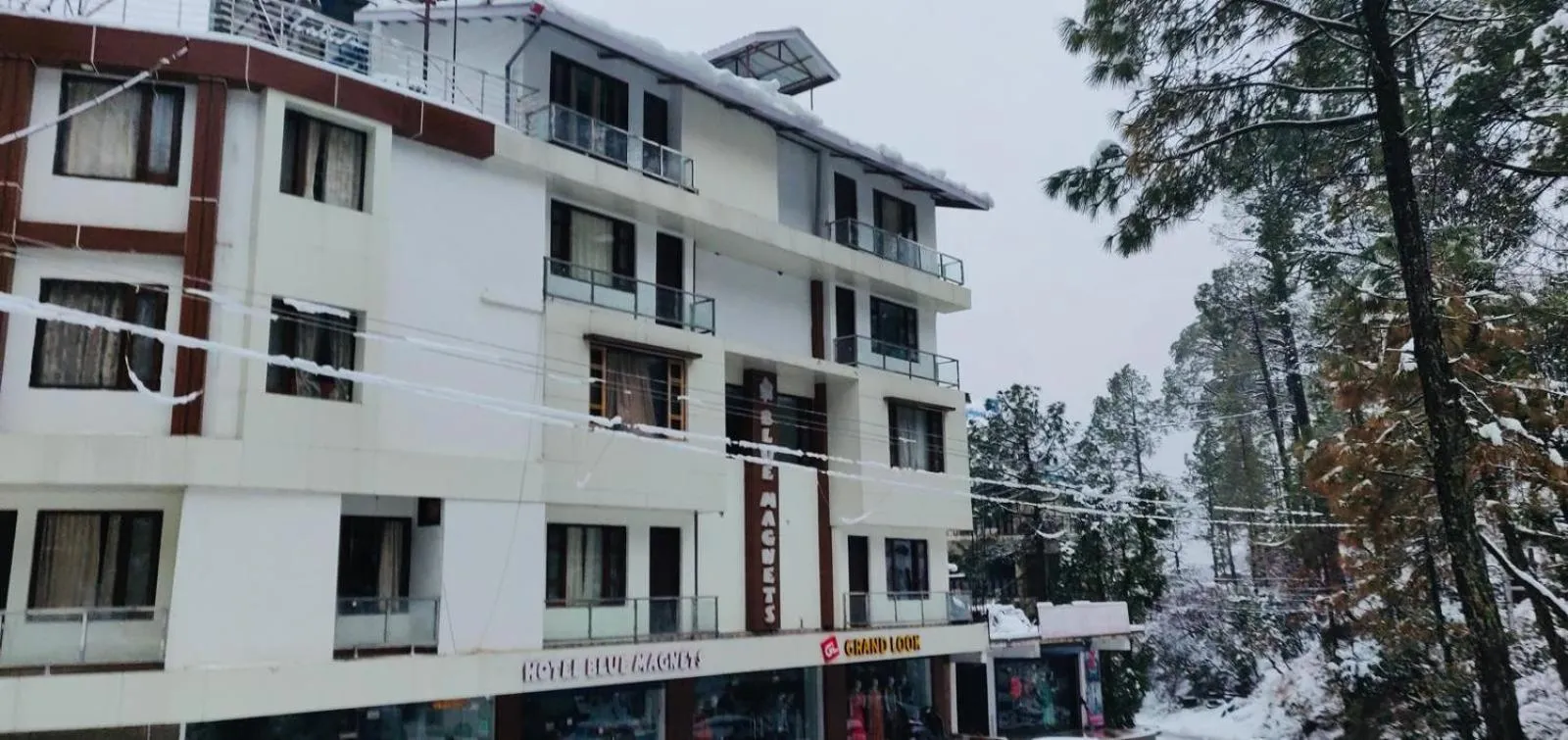 The Hoften Blue Magnets, Dalhousie