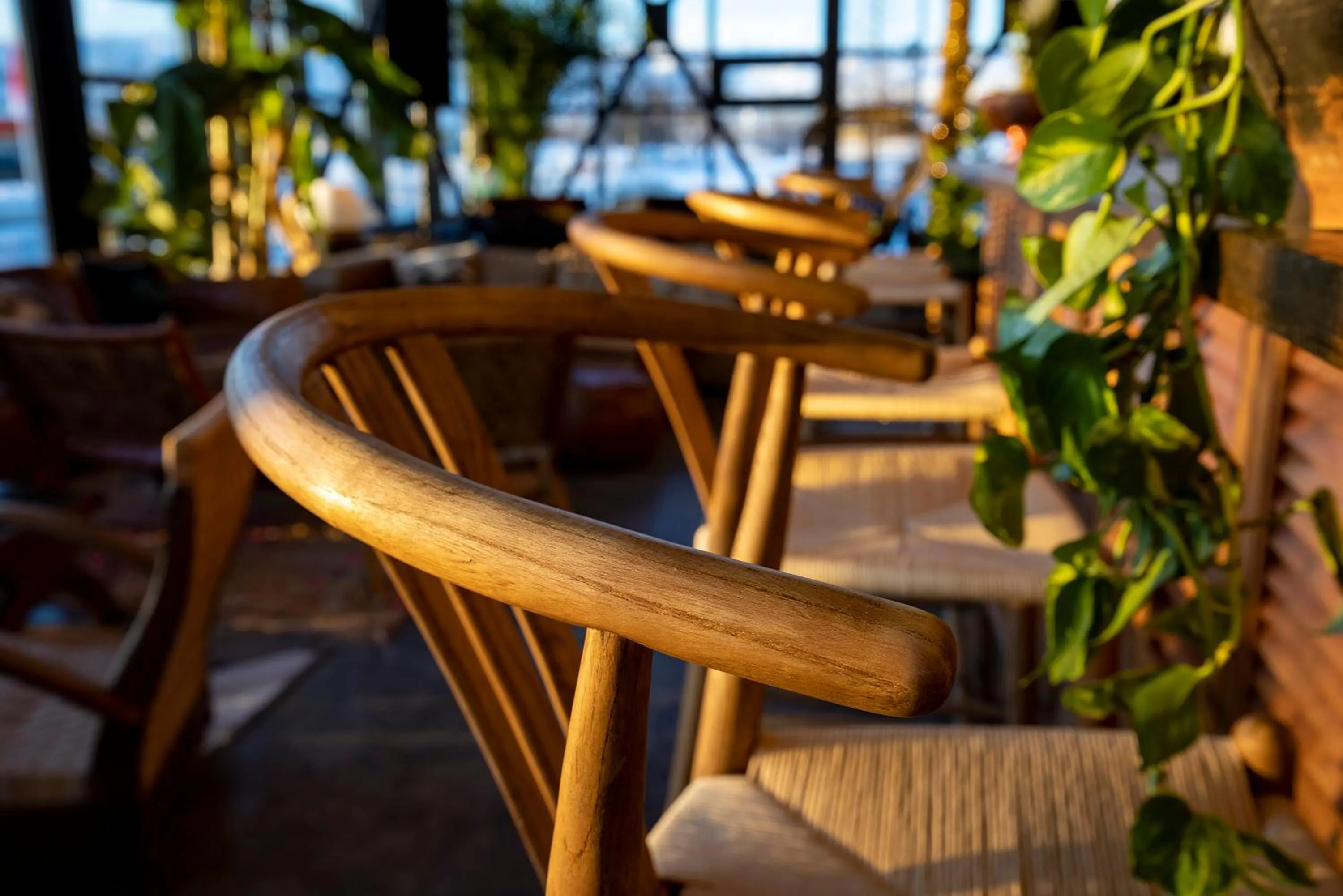 Balcony/Terrace in The Greenhouse Hotel
