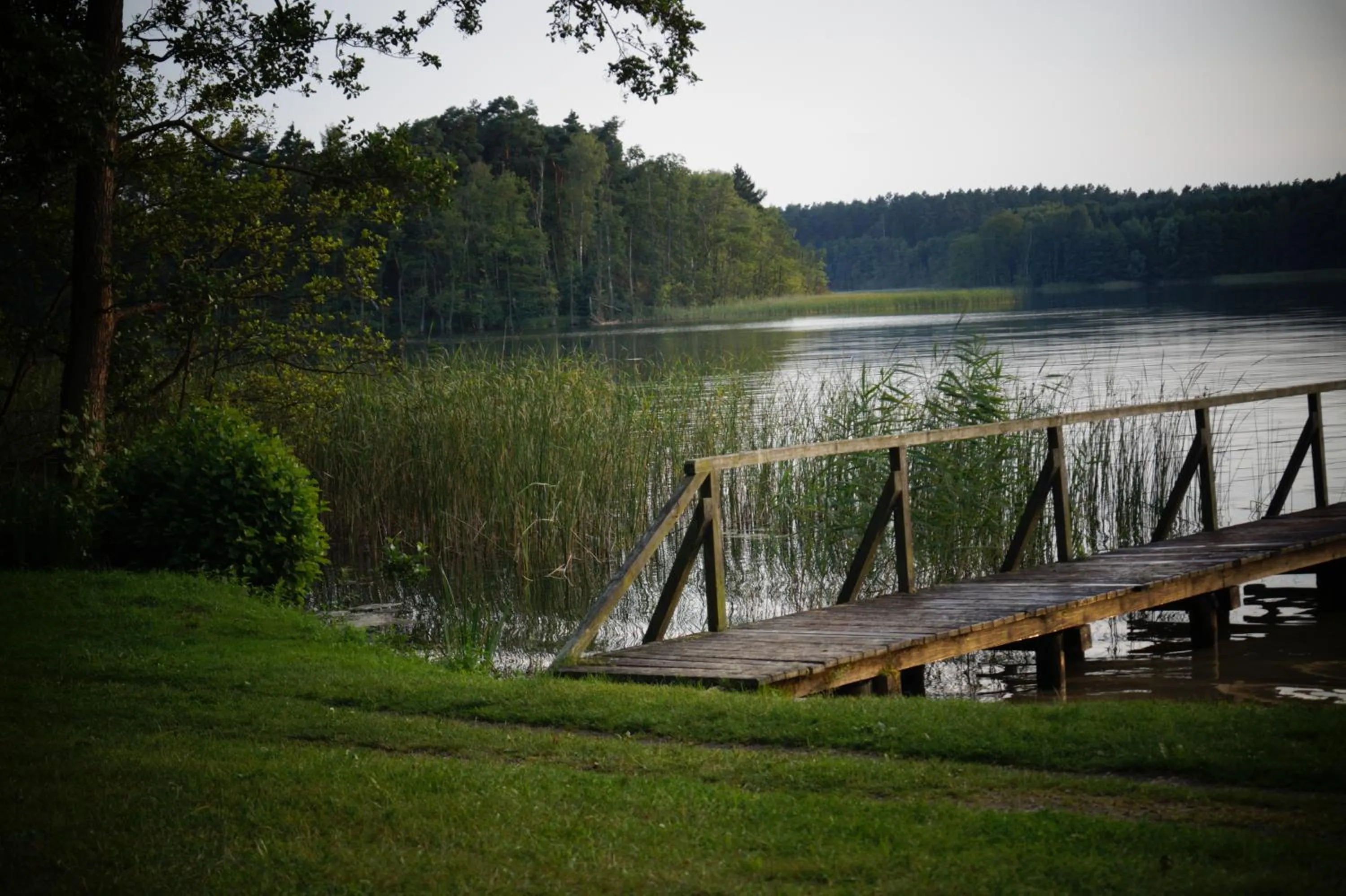 Natural landscape in Hotel Kleines Meer