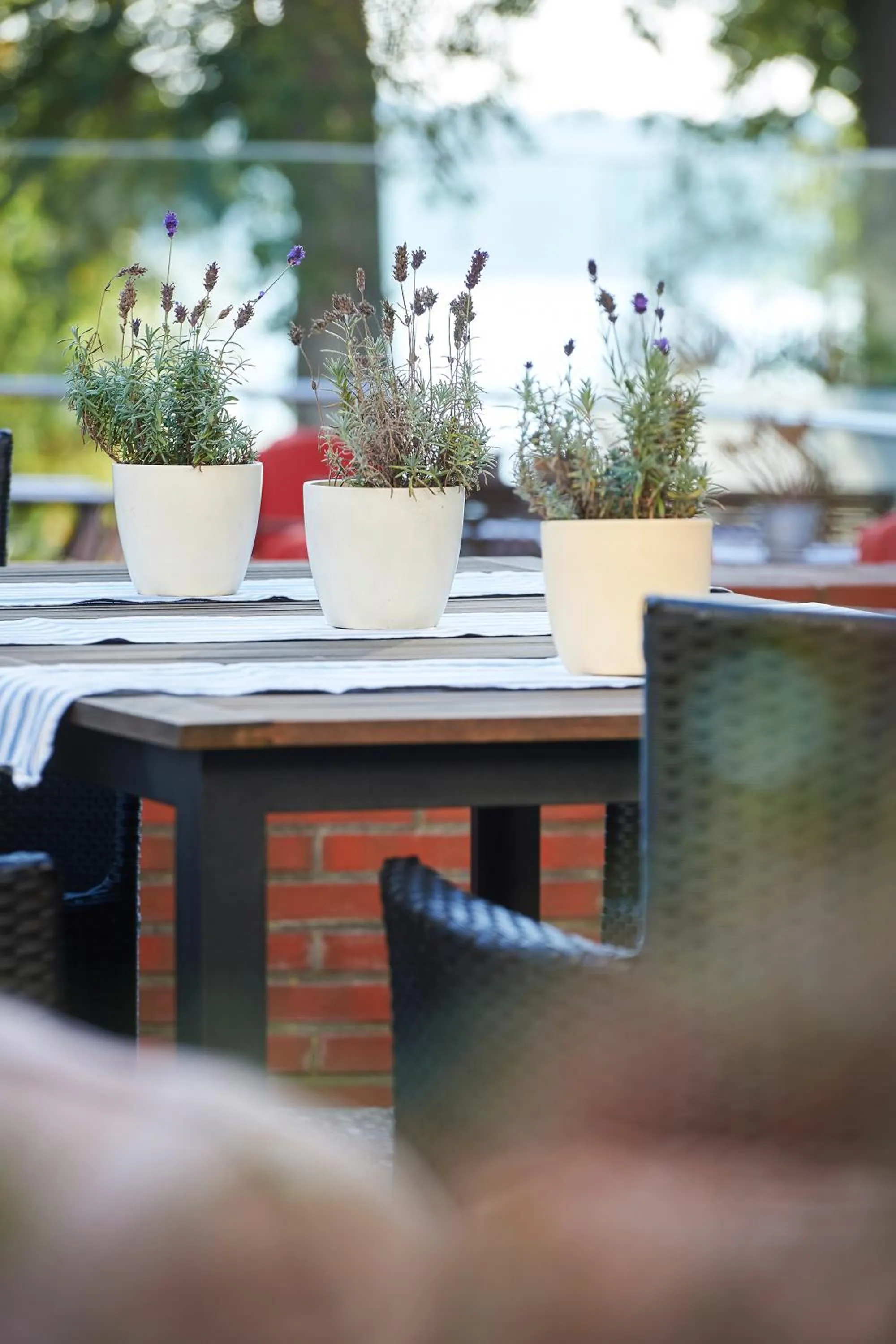 Balcony/Terrace in Hotel Kleines Meer