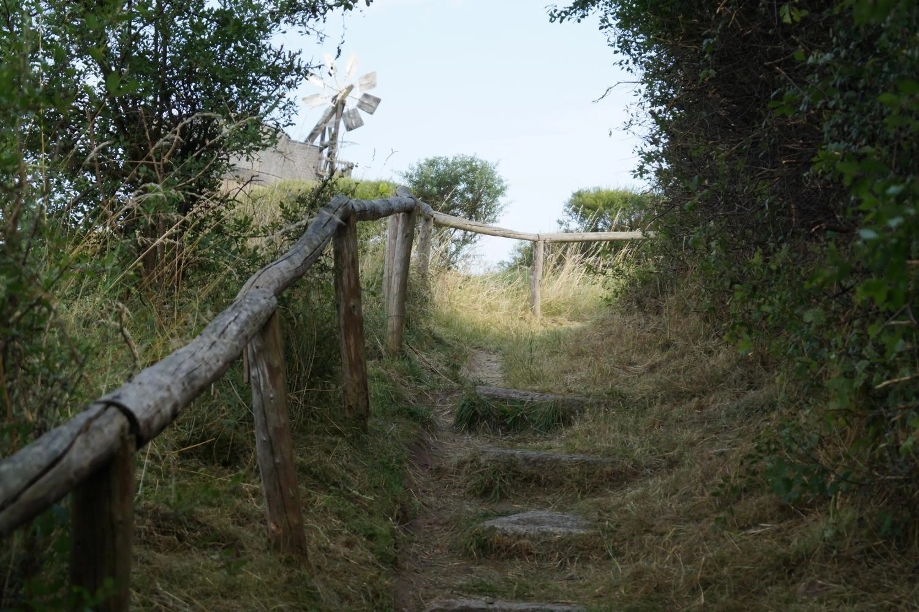Natural landscape in Hotel Kleines Meer