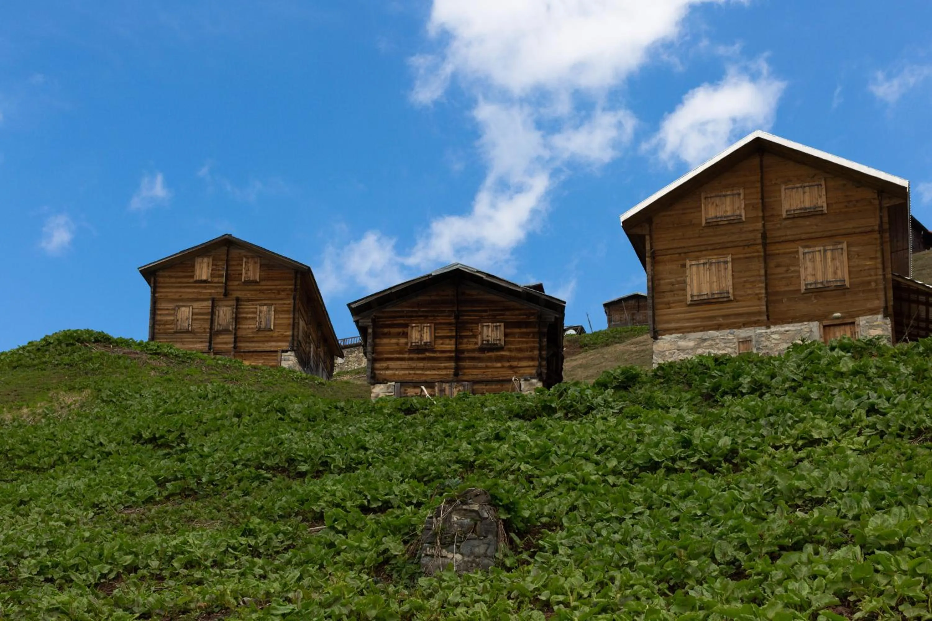 Other in Ricosta Hotel