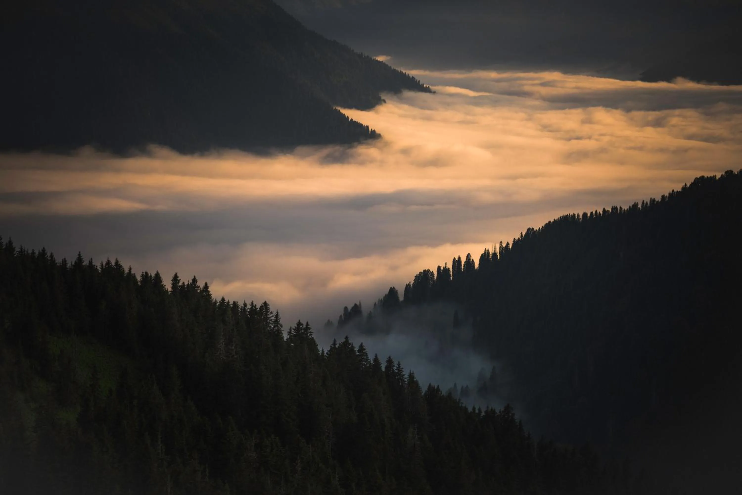 Off site in Ricosta Hotel