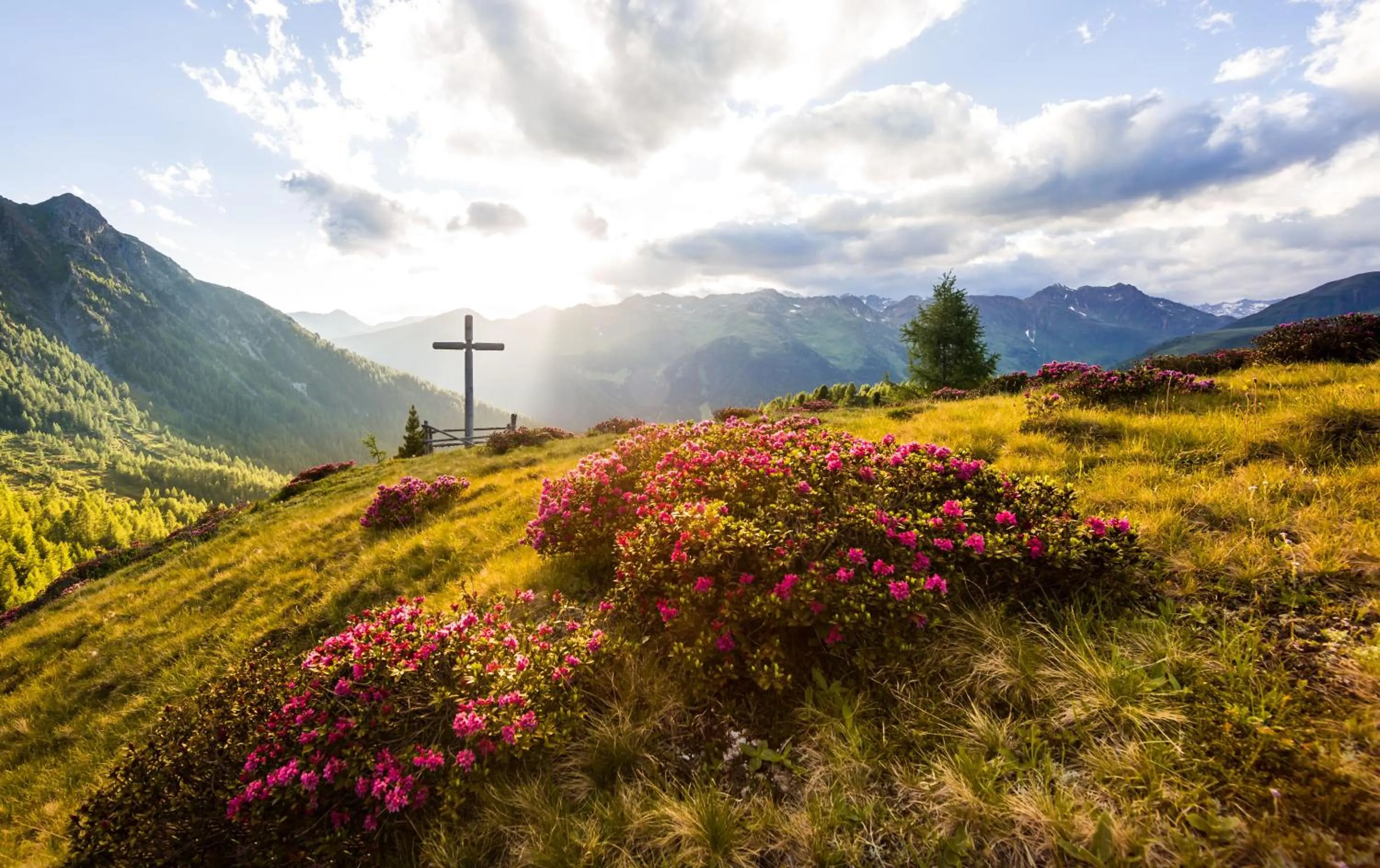 Spring in Residence Bannwald